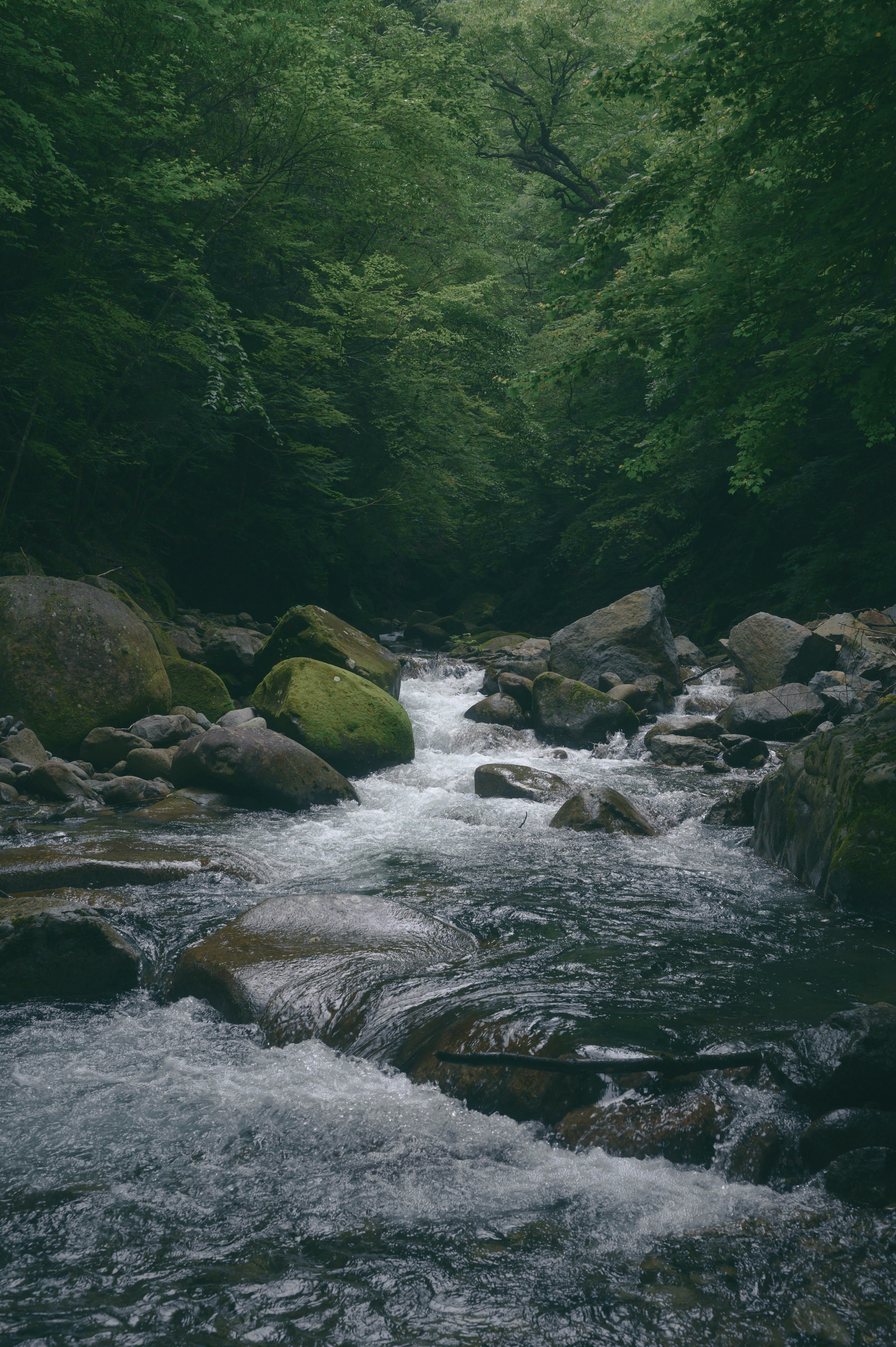 Photo by hayato_no_kiroku