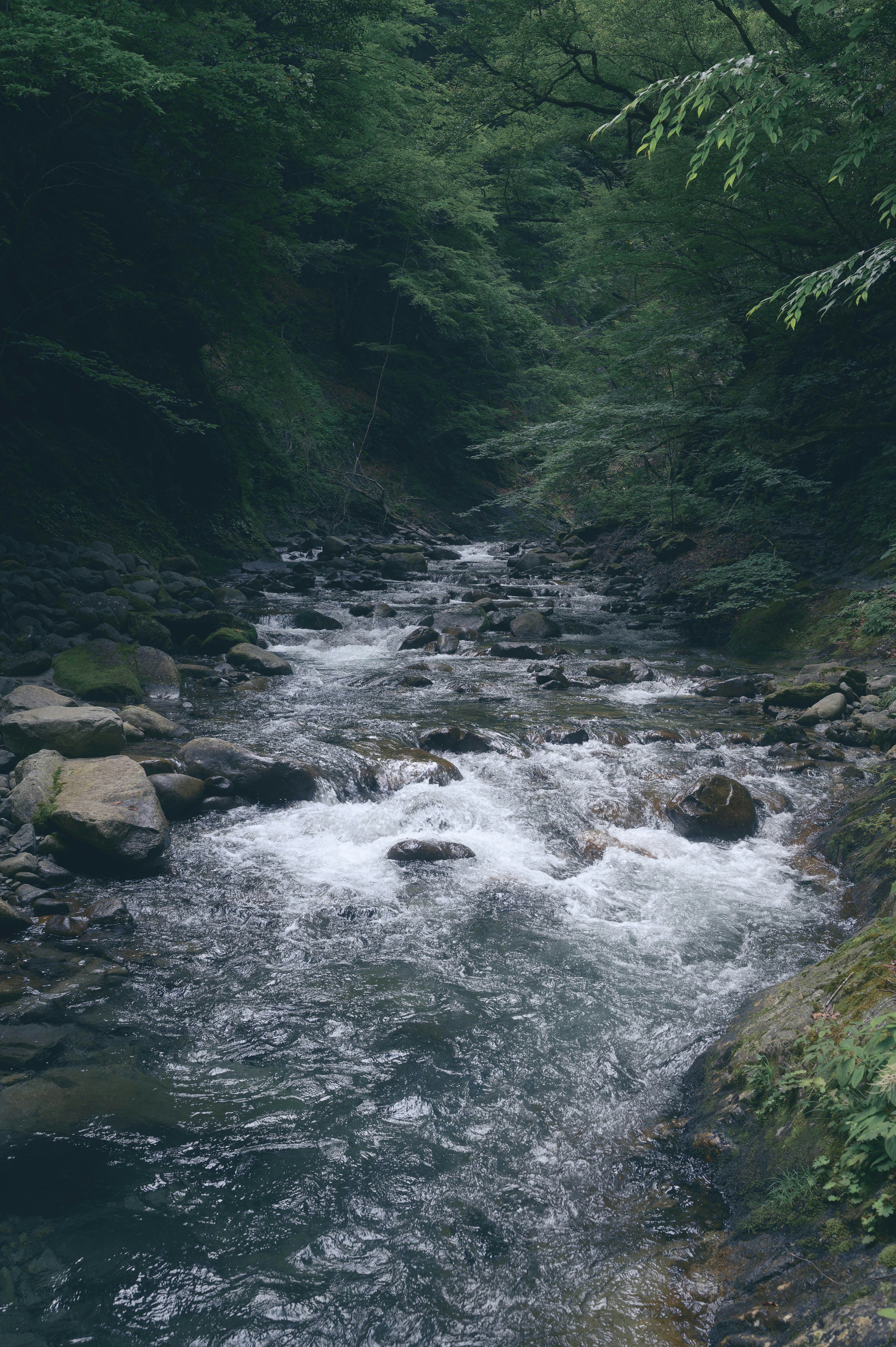 Photo by hayato_no_kiroku