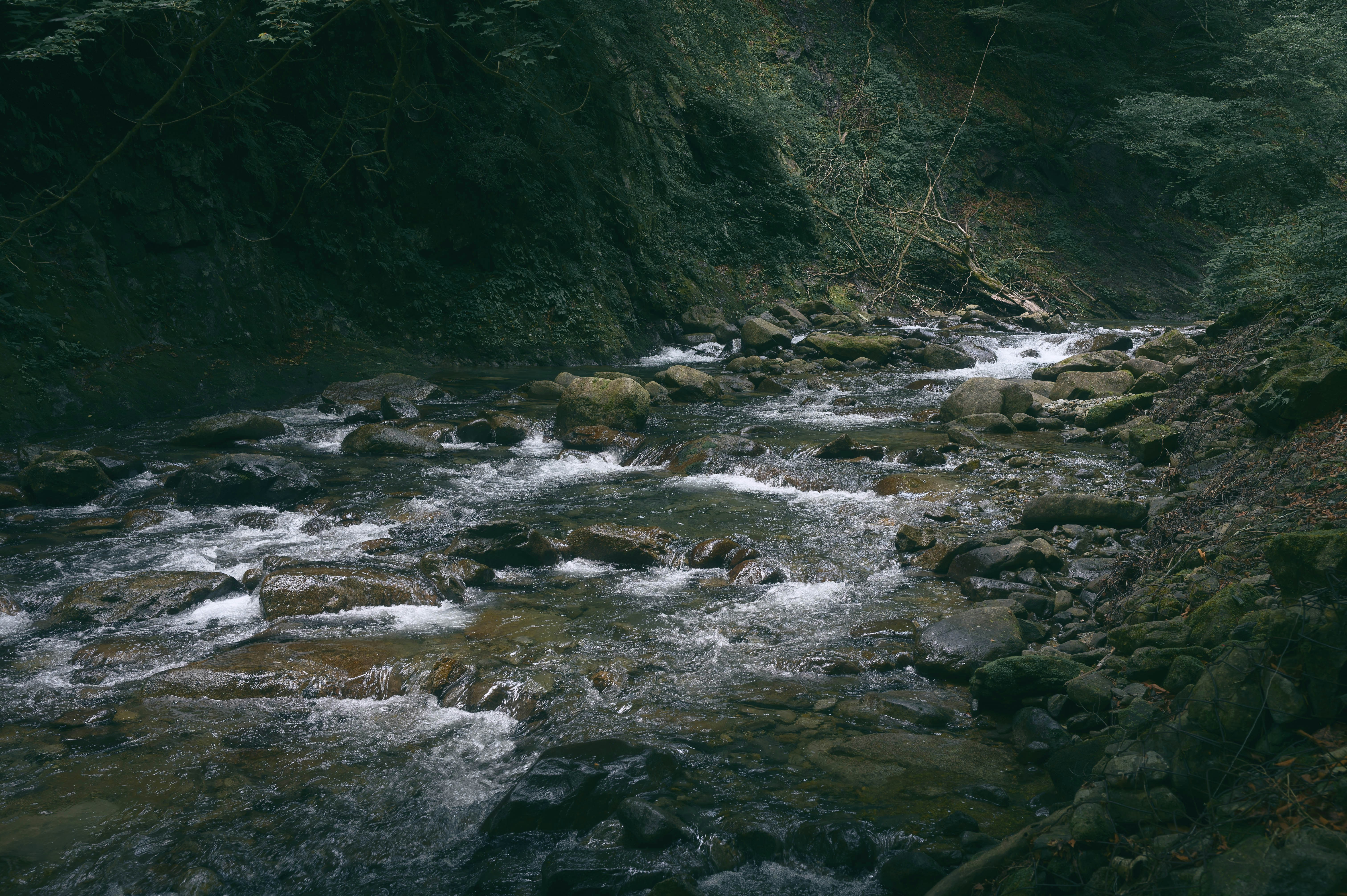 Photo by hayato_no_kiroku