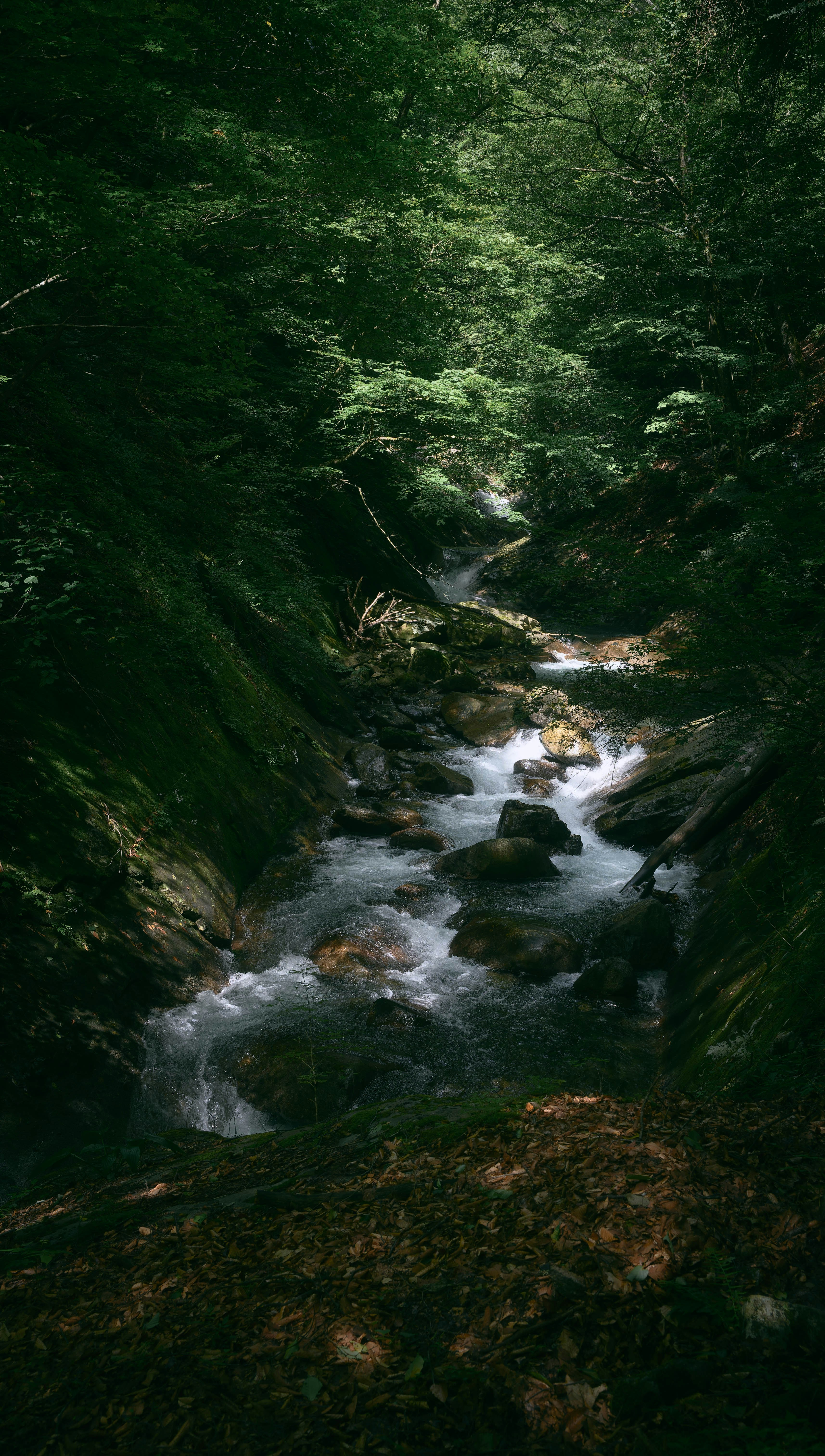 Photo by hayato_no_kiroku