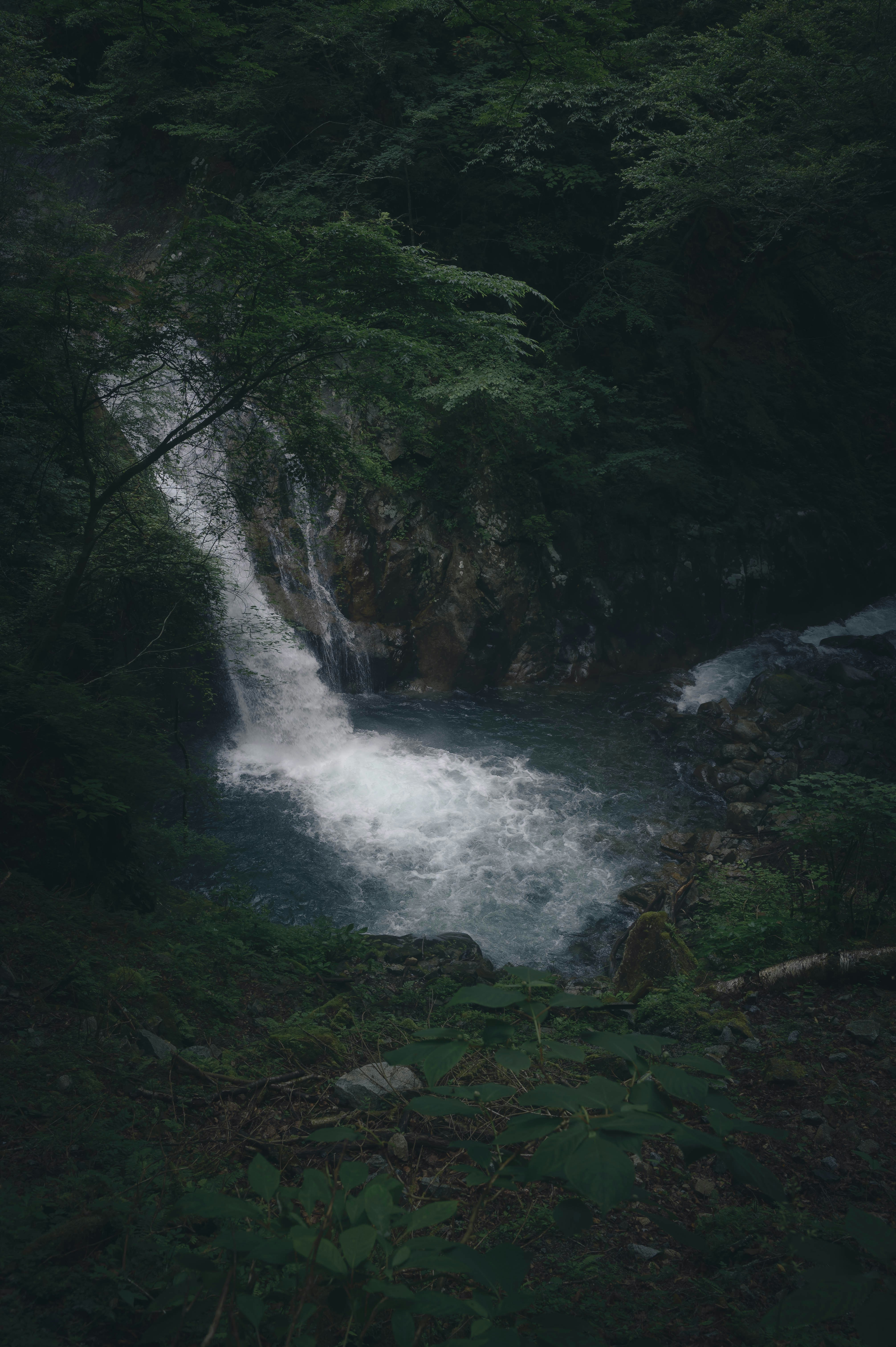 photo-1721902390827-b11fdf43eb85?crop=entropy&cs=srgb&fm=jpg&ixid=M3wzMjkxMTJ8MHwxfHNlYXJjaHwxMHx8Q2FjaG9laXJhJTIwZXNjb25kaWRhJTIwZW0lMjBtZWlvJTIwJUMzJUEwJTIwbmF0dXJlemF8ZW58MHx8fHwxNzY0MjcwNTQxfDA&ixlib=rb-4.1 Descubra as Melhores Cachoeiras Perto de Você: Guia Completo