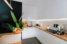 A kitchen with a plant in the middle of the counter