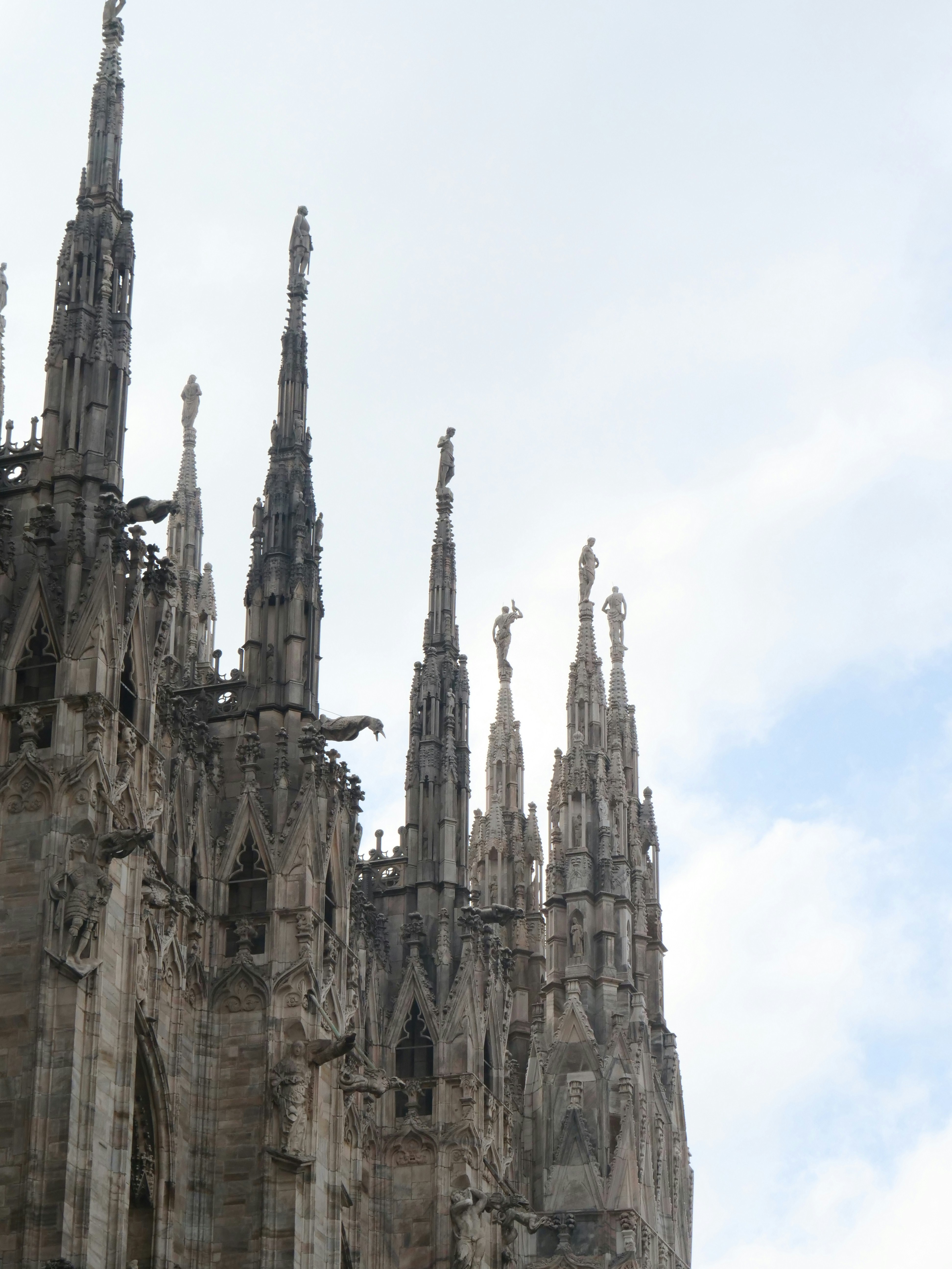 Photo by nimbus_vulpis