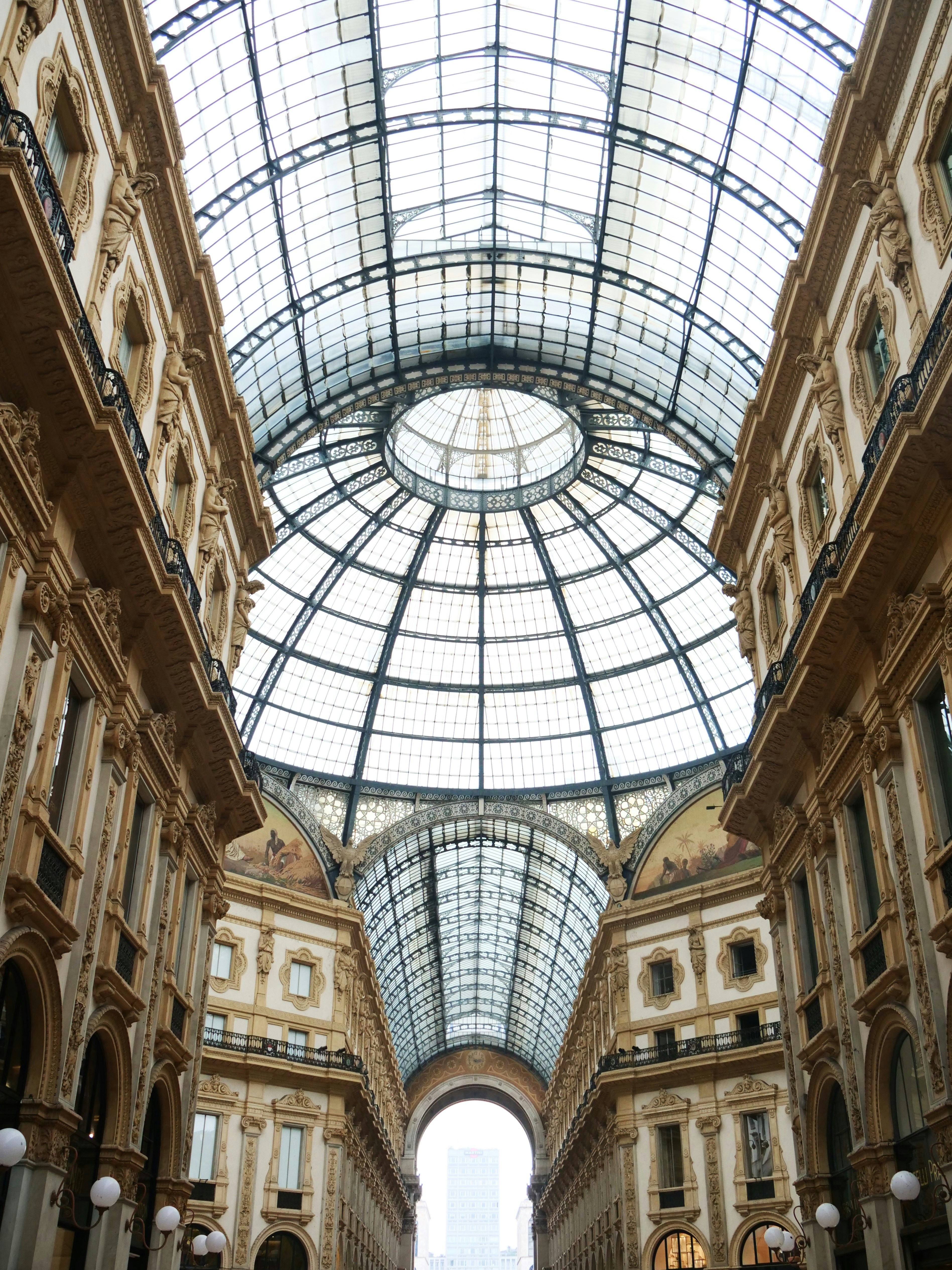 Photo by nimbus_vulpis