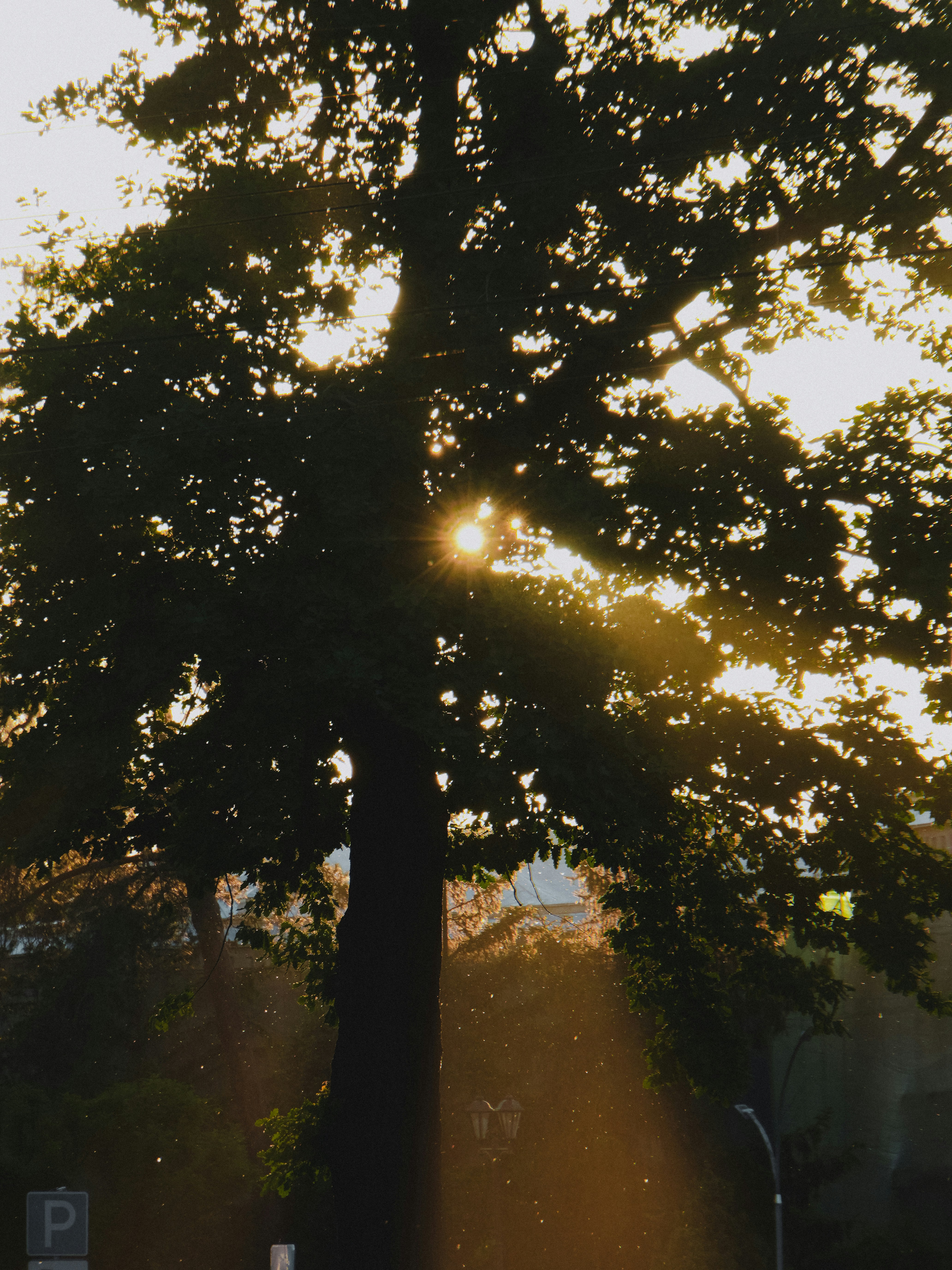 Photo by mishablinovv