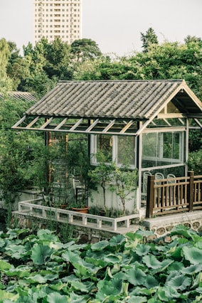 A small house in the middle of a lush green forest
