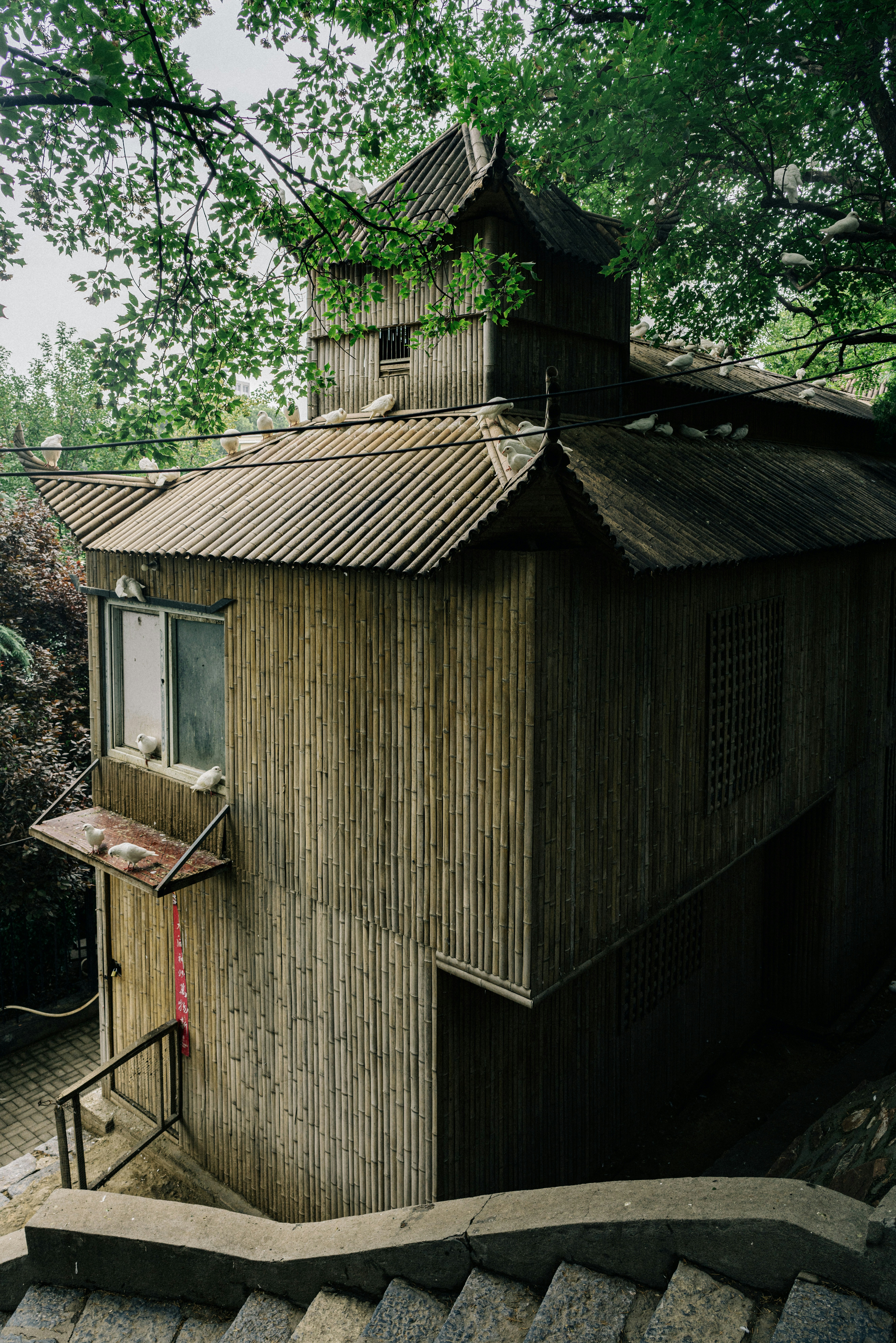 Photo by ooneiroslyl