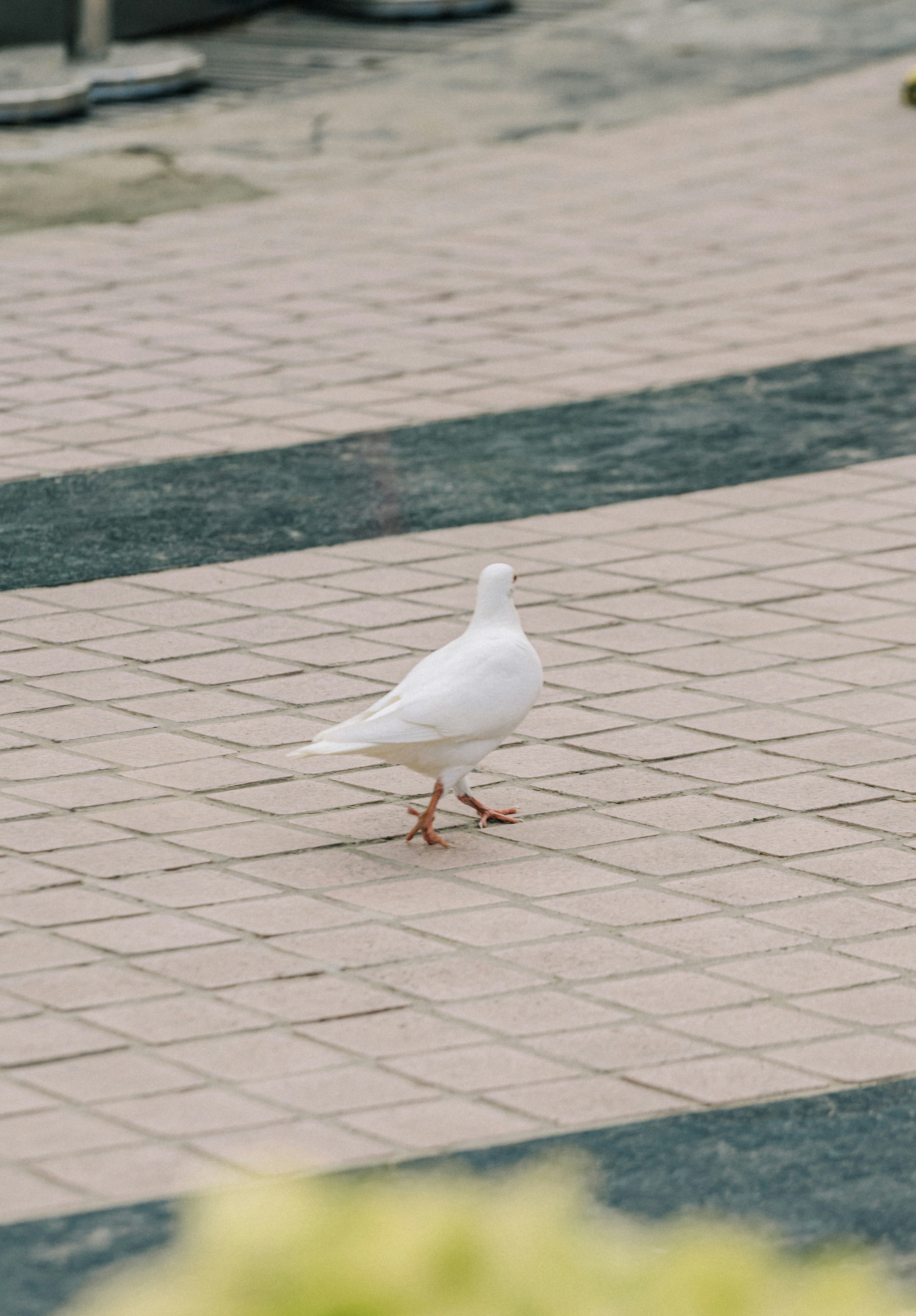 Photo by ooneiroslyl