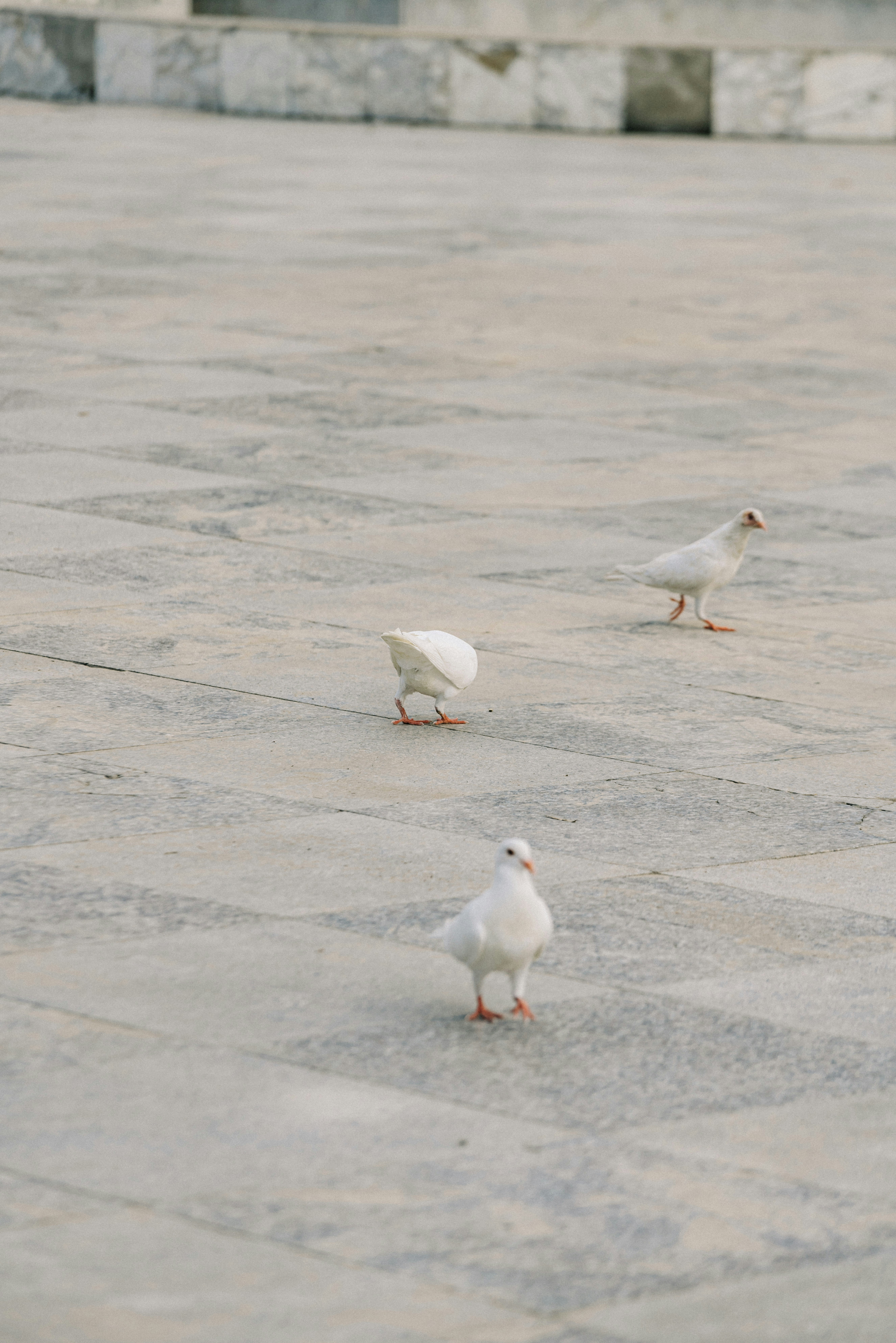 Photo by ooneiroslyl