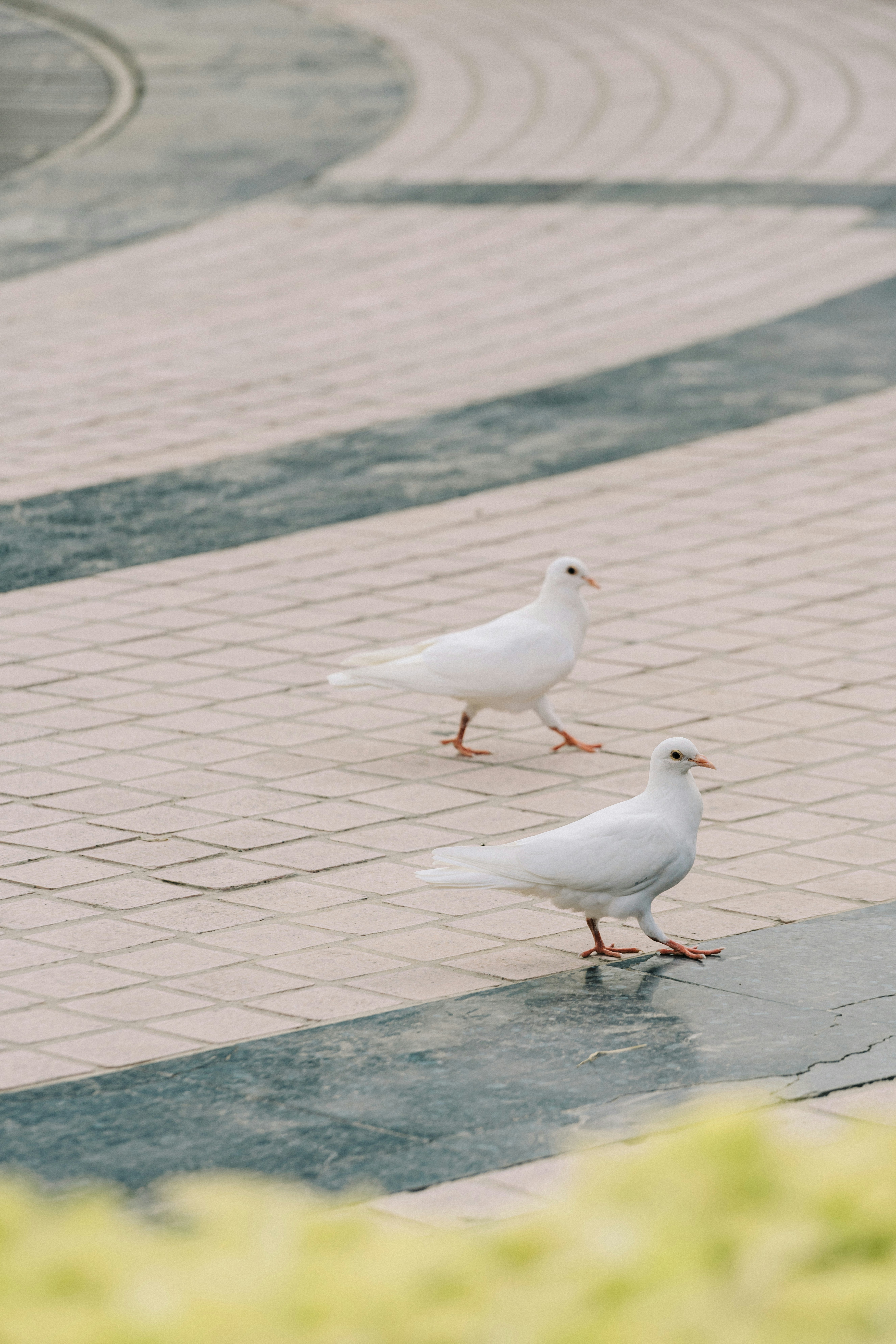 Photo by ooneiroslyl