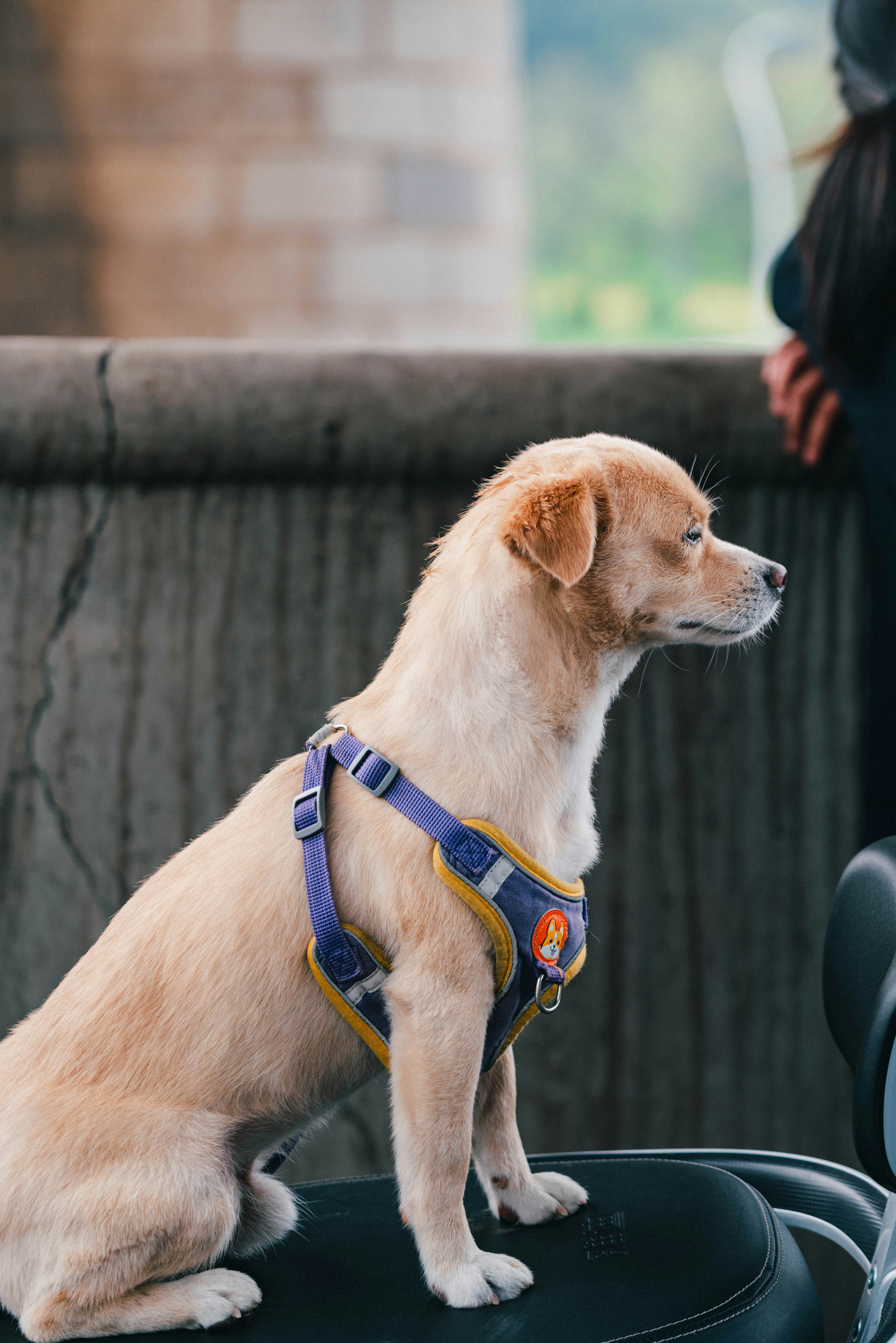 Photo by ooneiroslyl