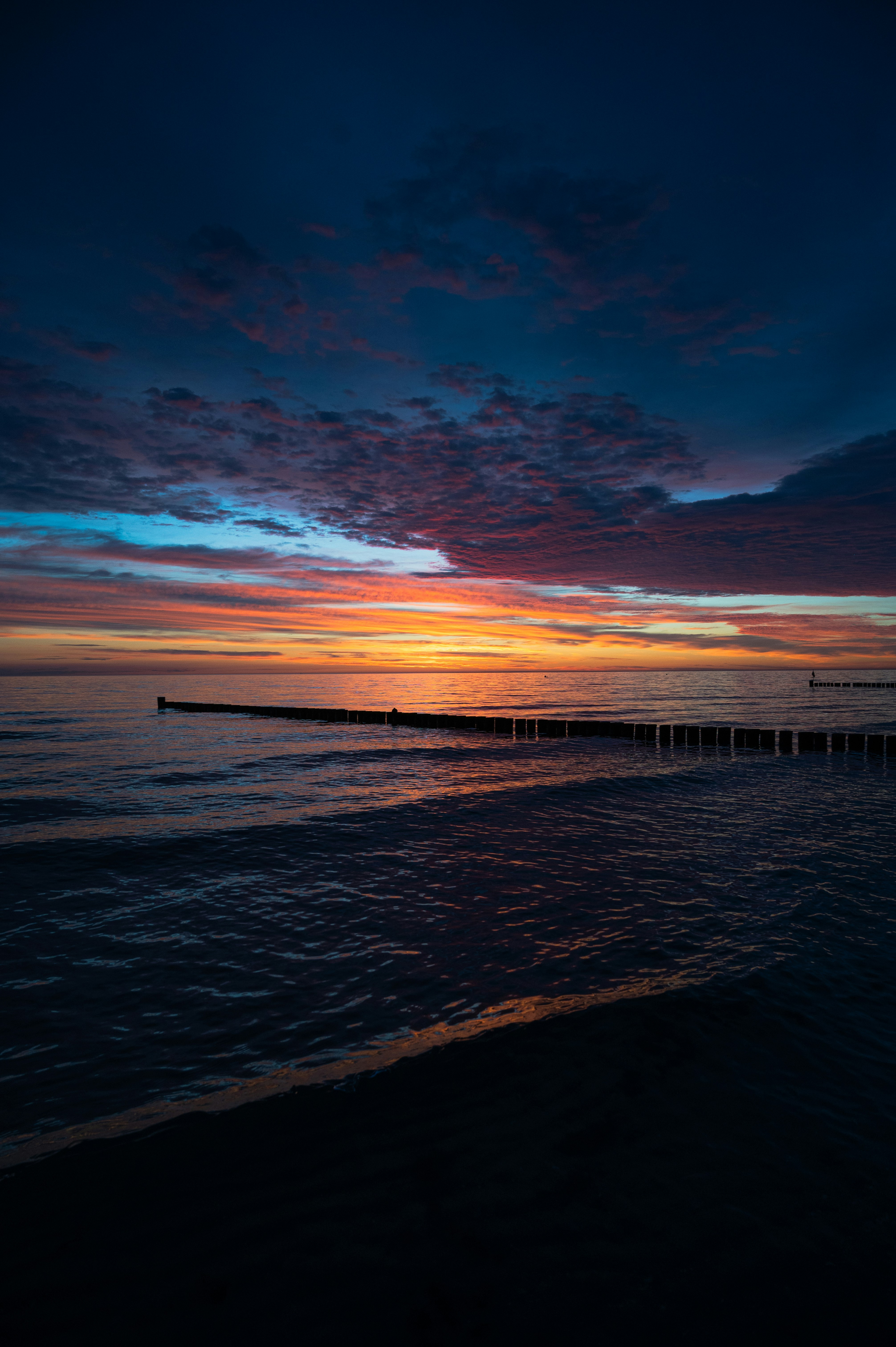 Photo by luca_severin