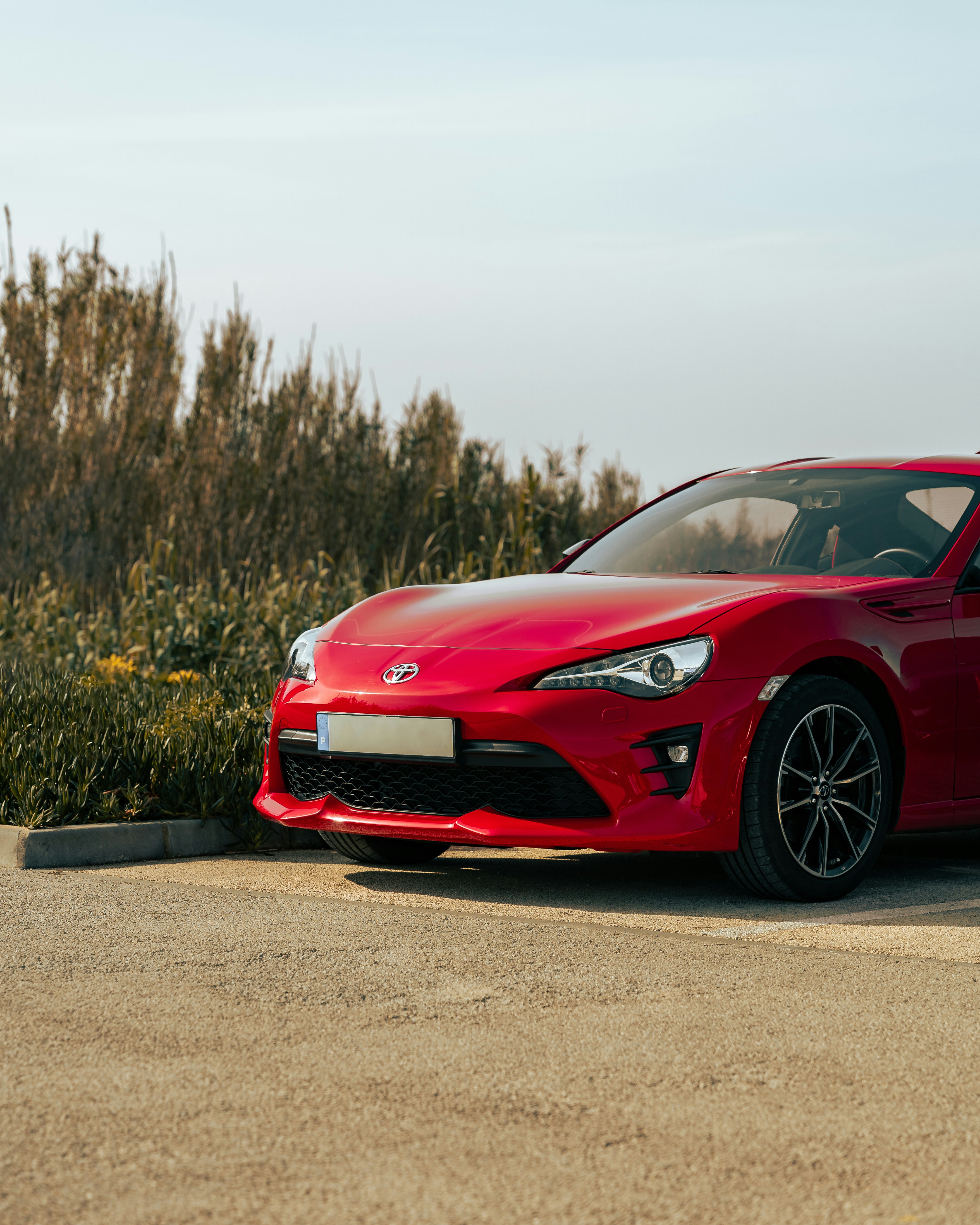 Photo by tiago_f_ferreira