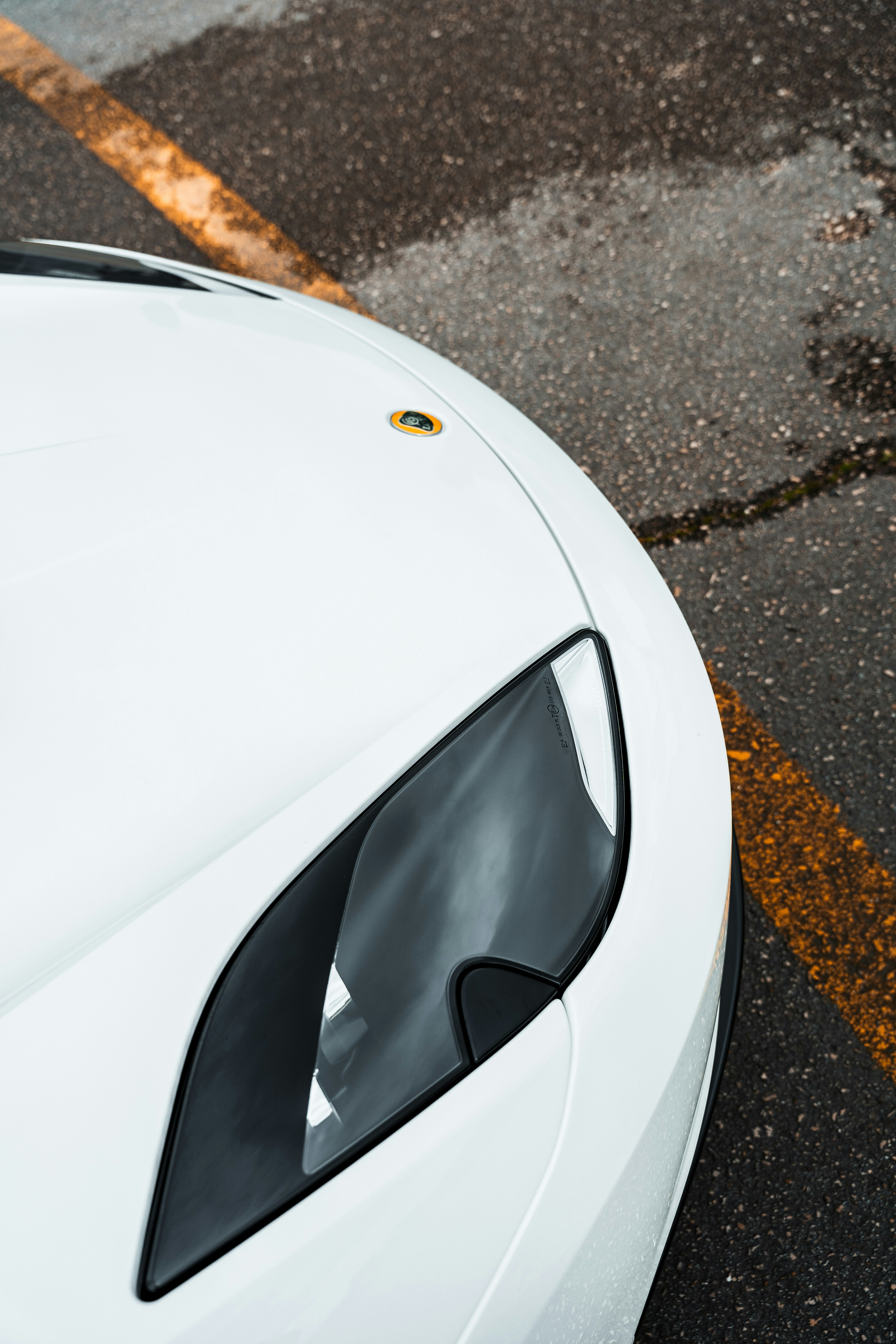 Photo by tiago_f_ferreira