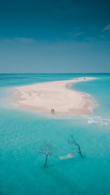 A couple of people standing on top of a sandy beach