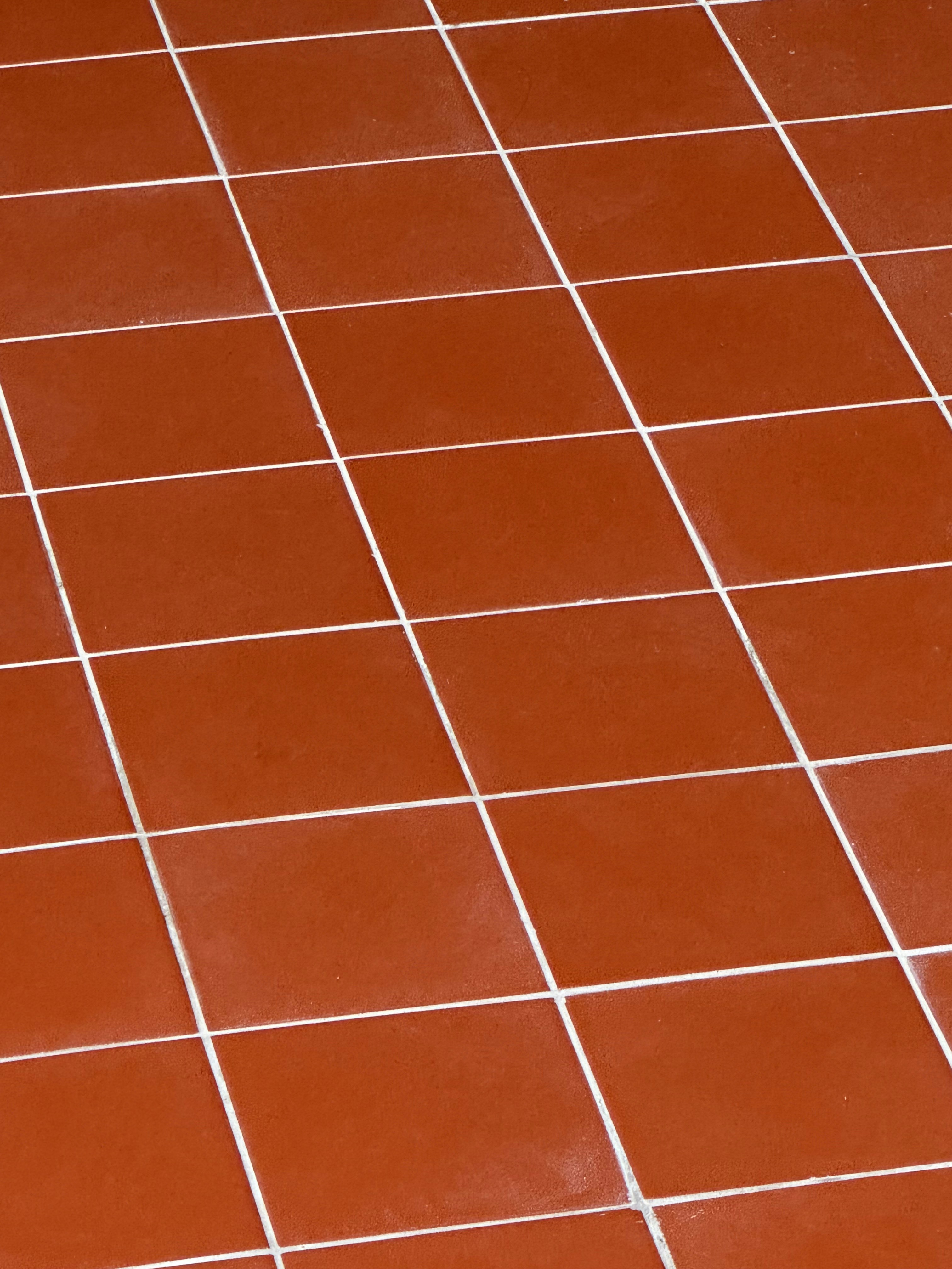 A cat sitting on a tiled floor looking at the camera