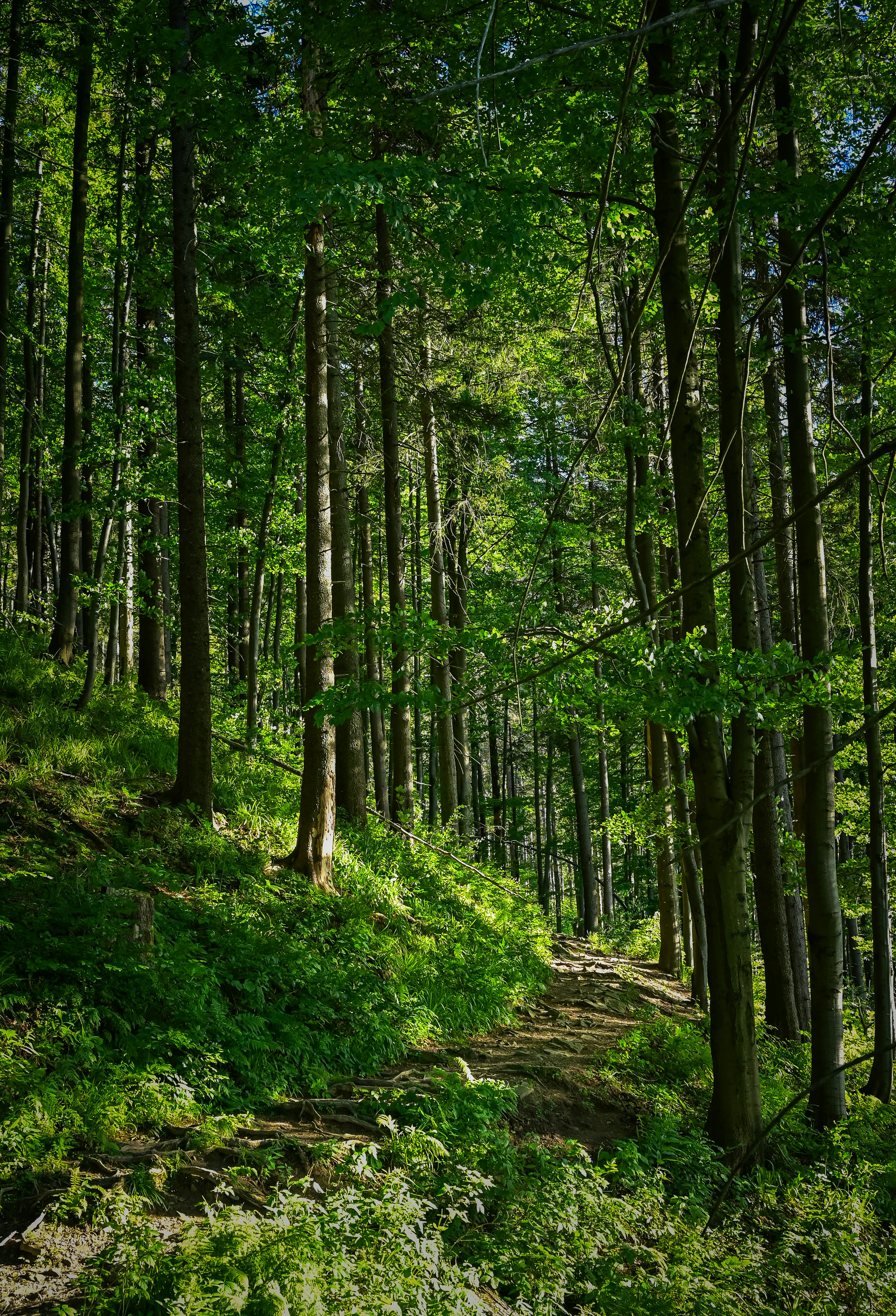 Photo by alexandra_p_d