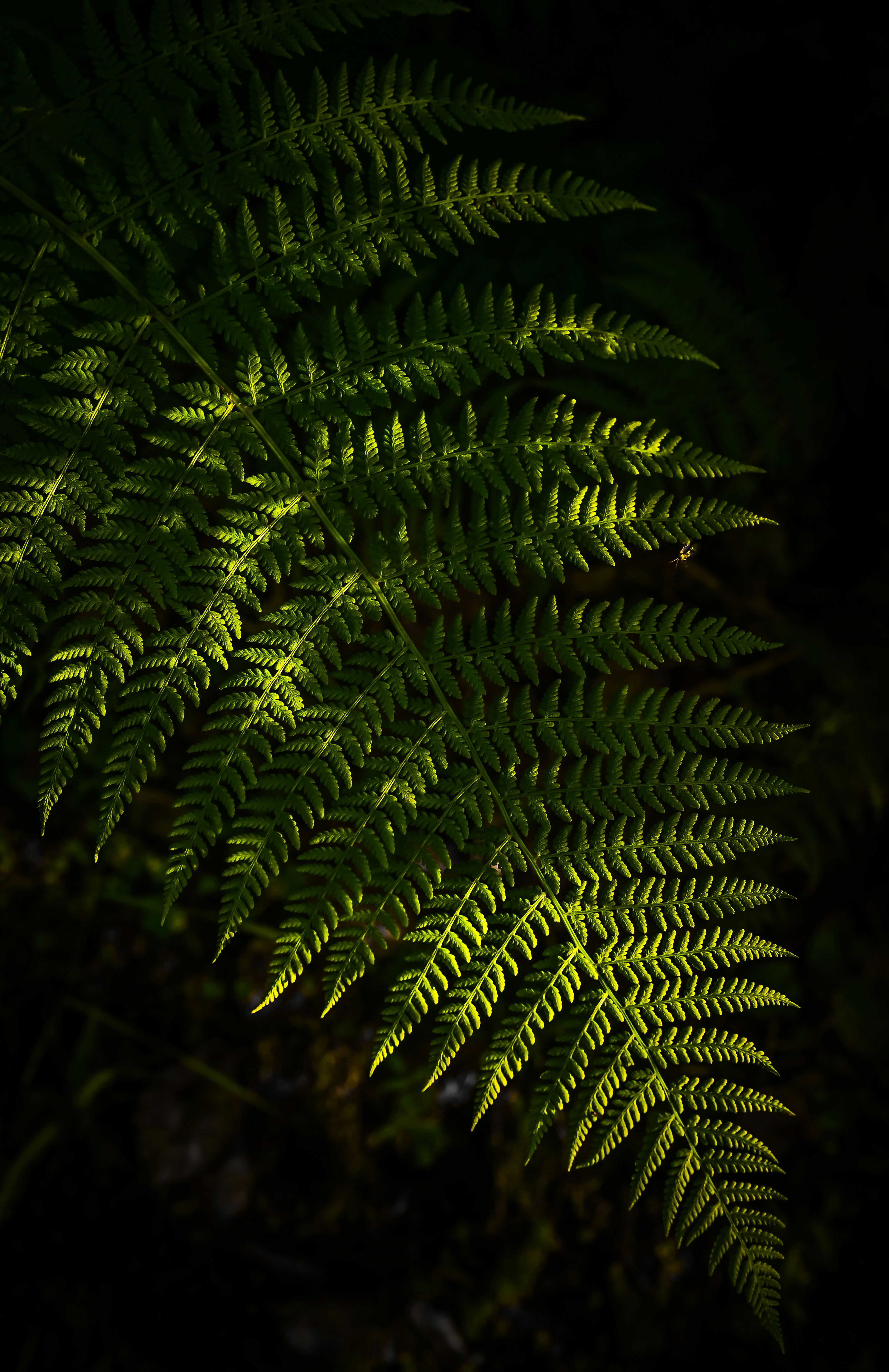 Photo by alexandra_p_d