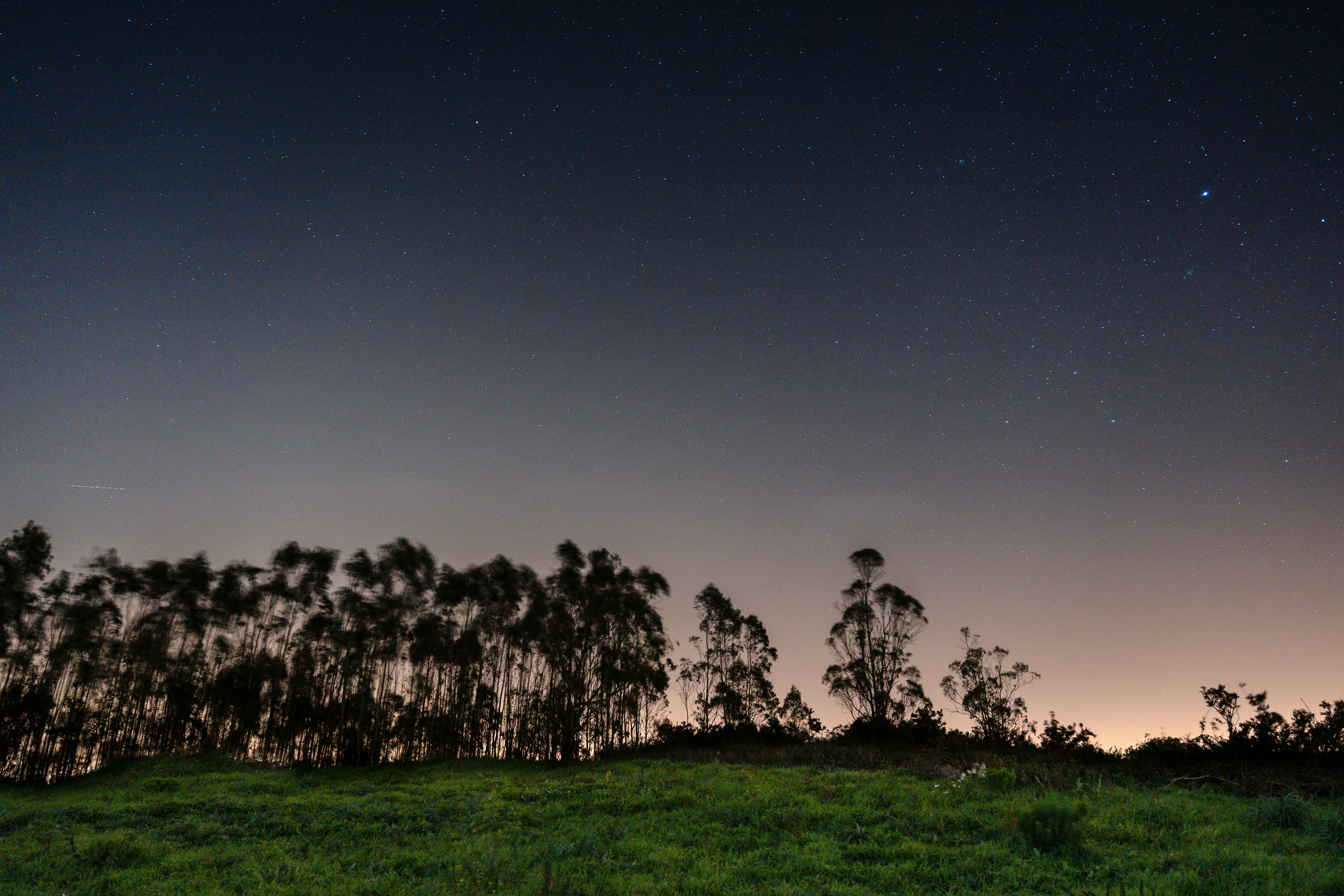 Photo by tiago_f_ferreira