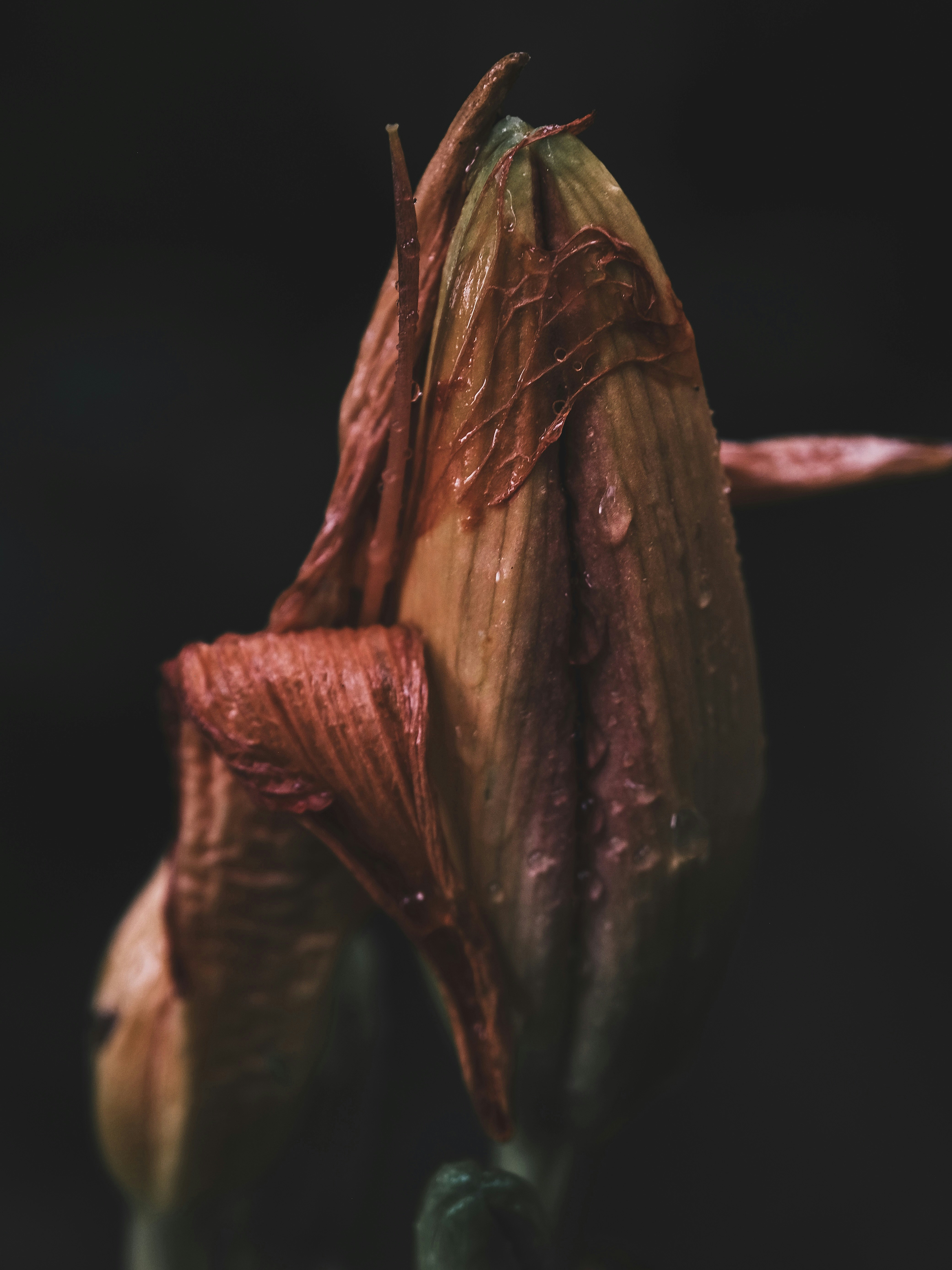 Photo by mkrawczynski