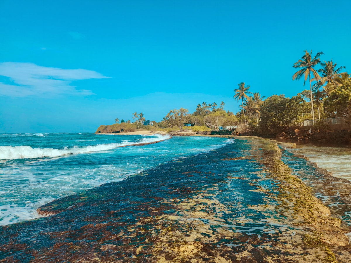 A sandy beach with waves coming in from the ocean
