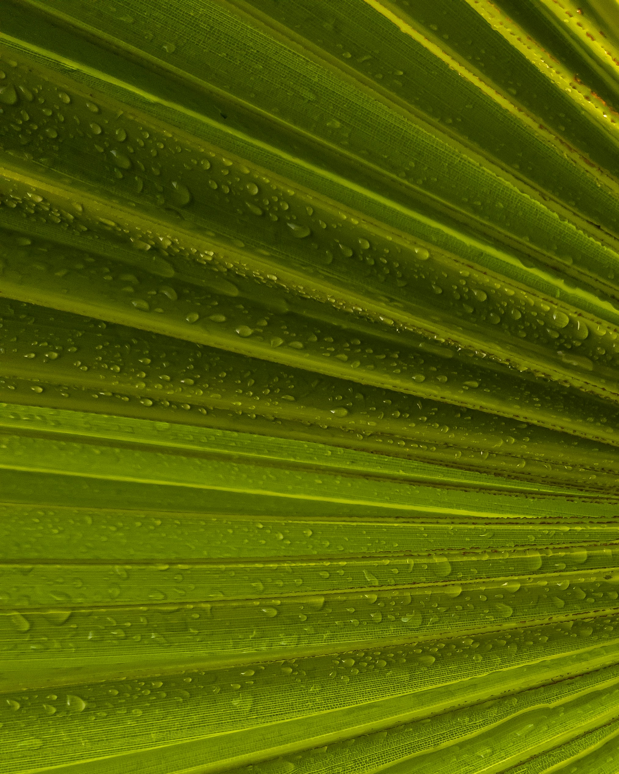 Photo by ankitbunsplash