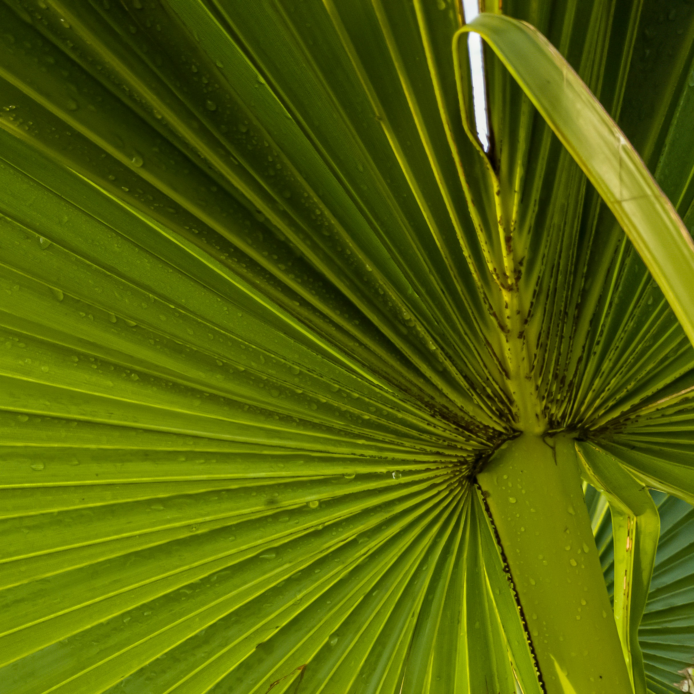 Photo by ankitbunsplash