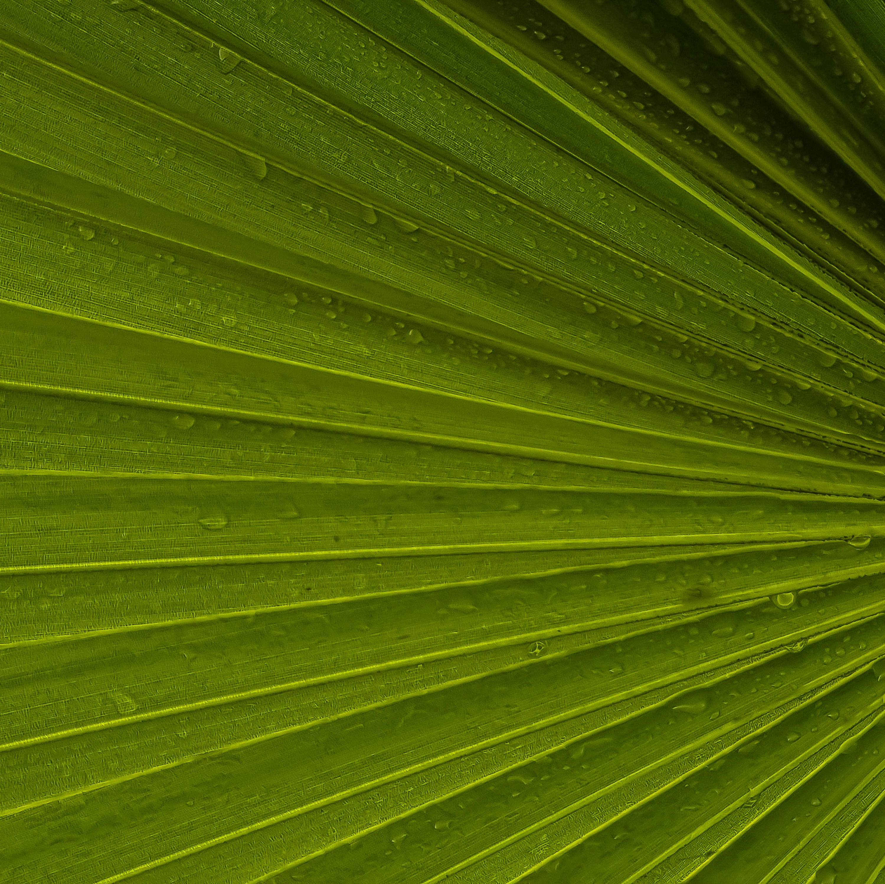 Photo by ankitbunsplash