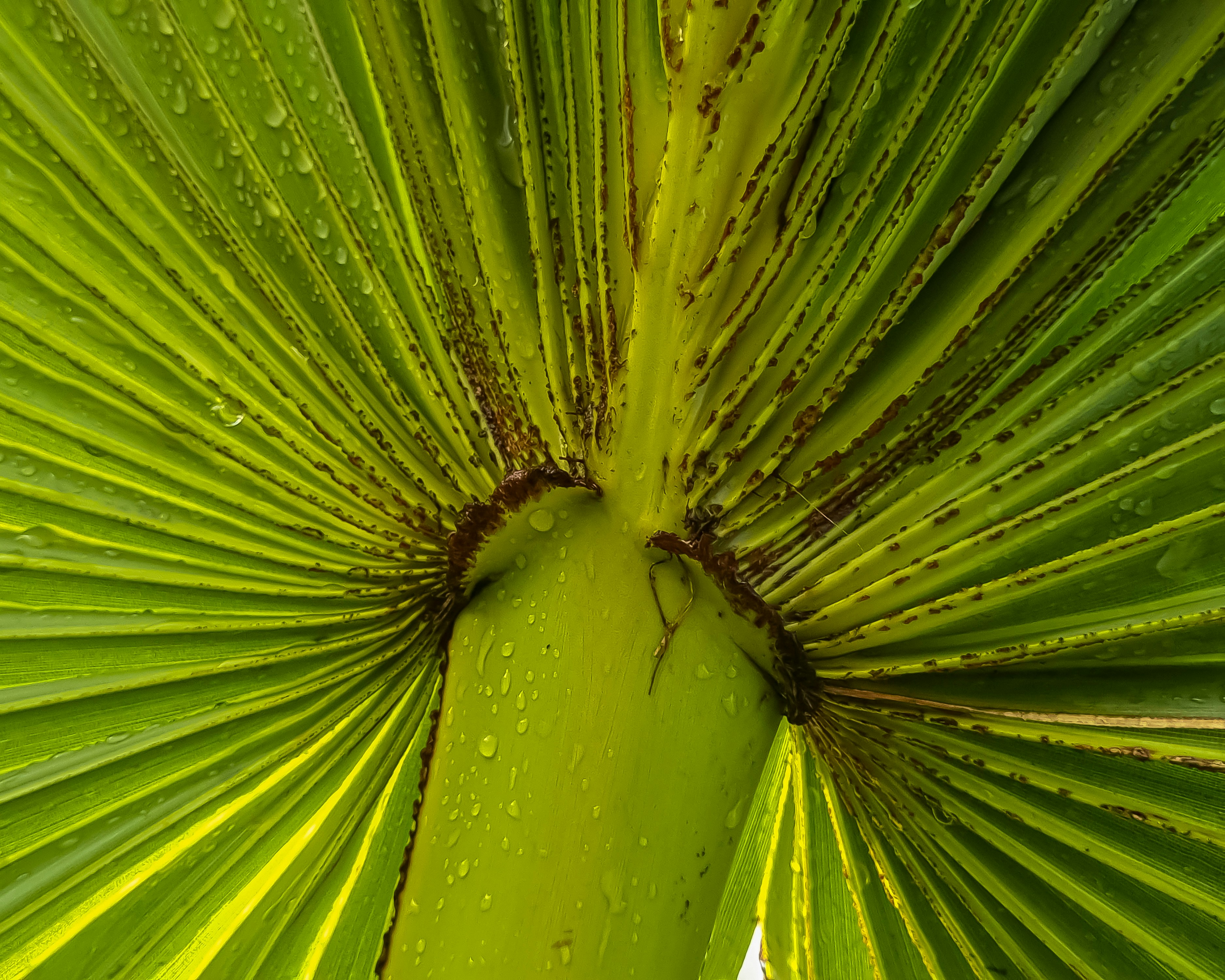 Photo by ankitbunsplash