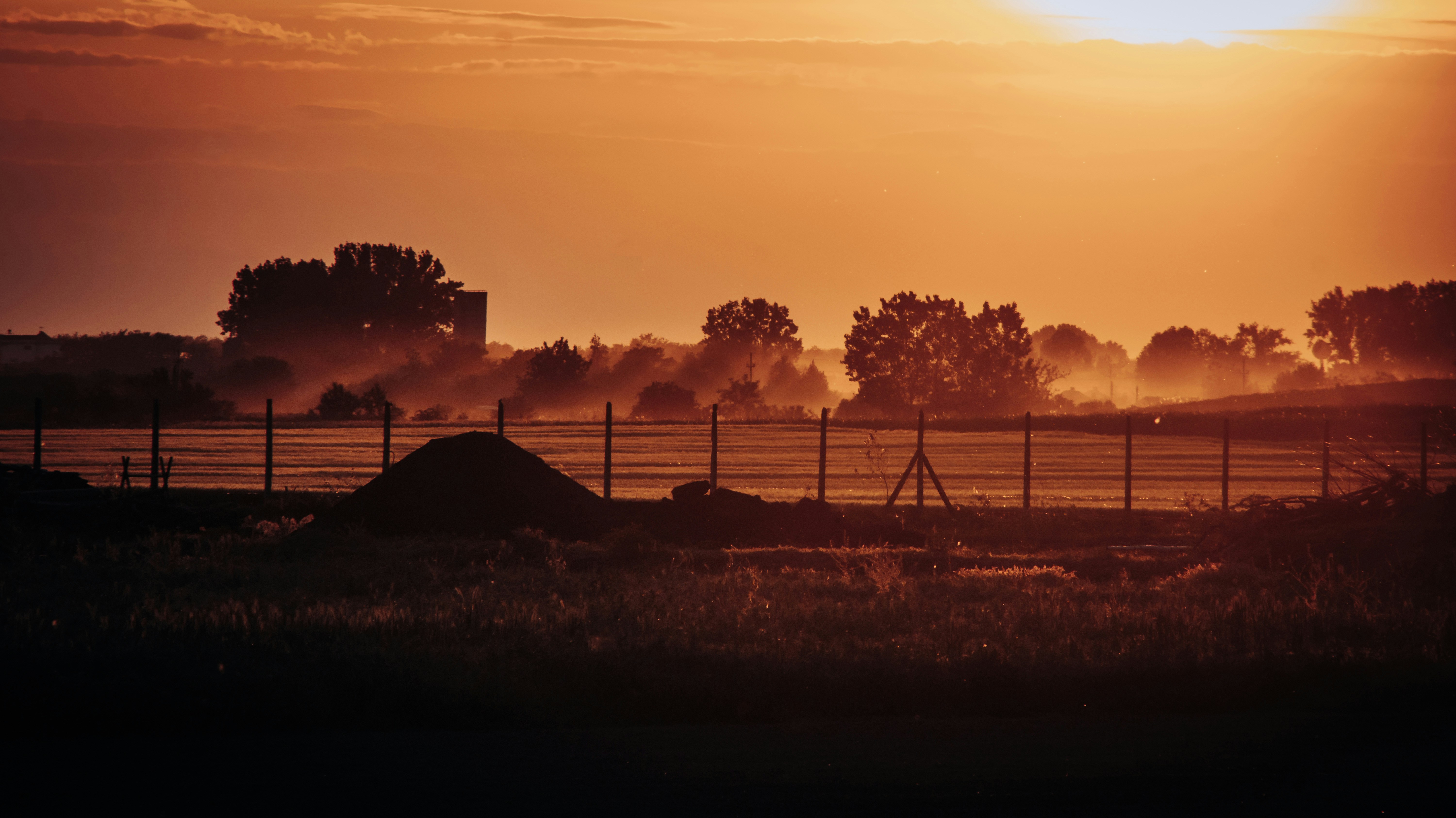 Photo by sylvester_s