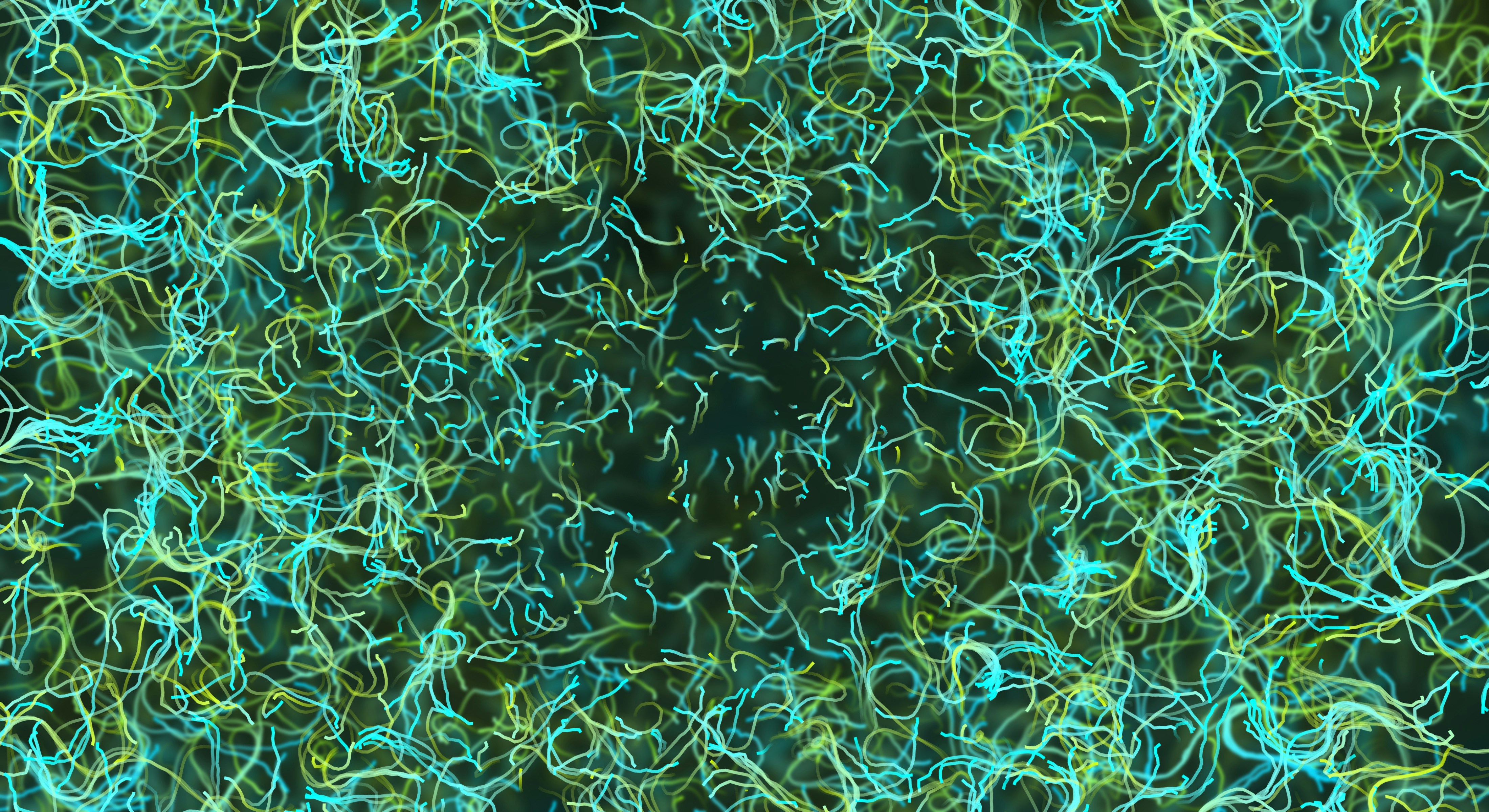 Photo by buddhaelemental3d