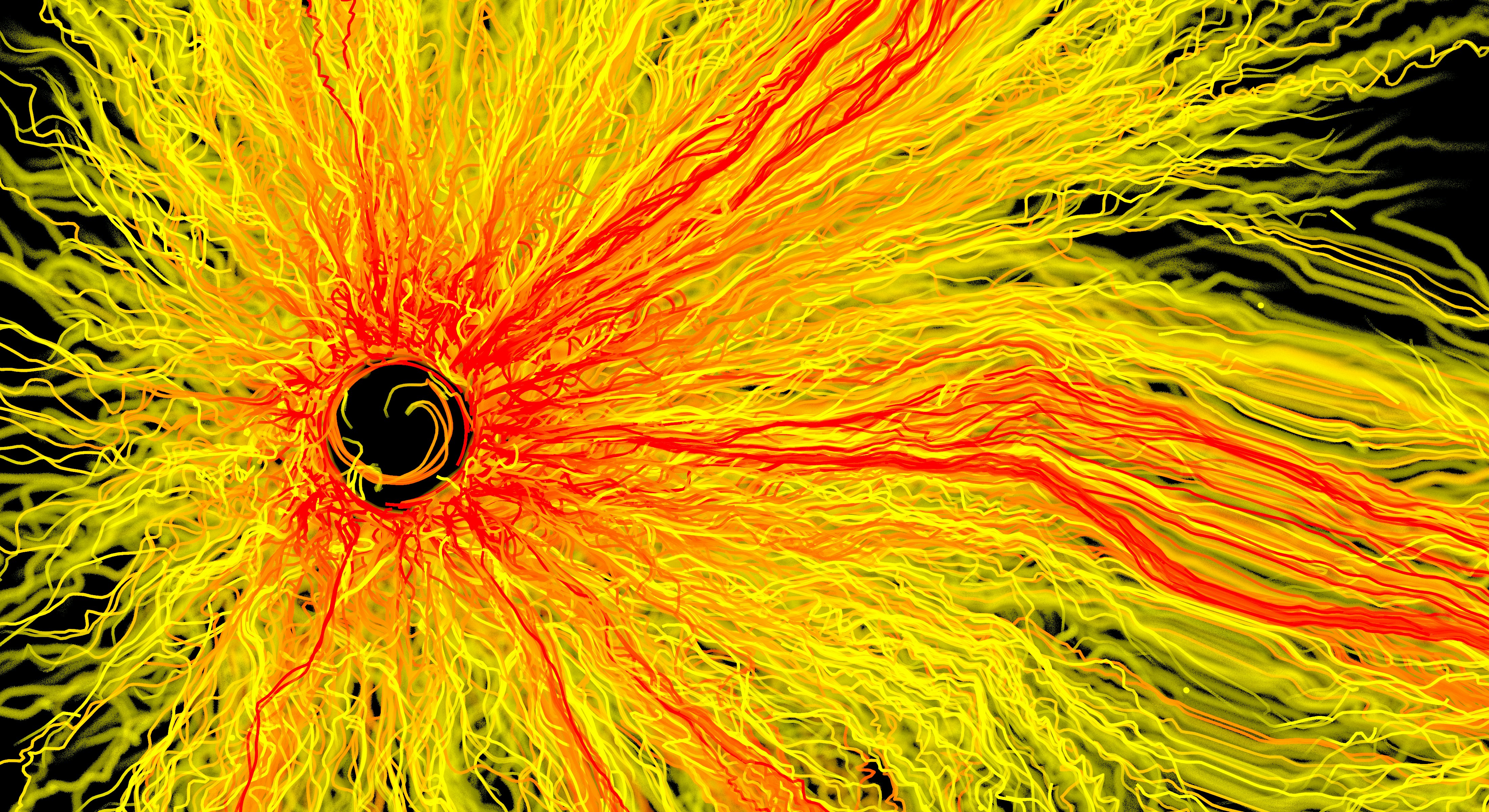 A close up of a yellow and orange flower