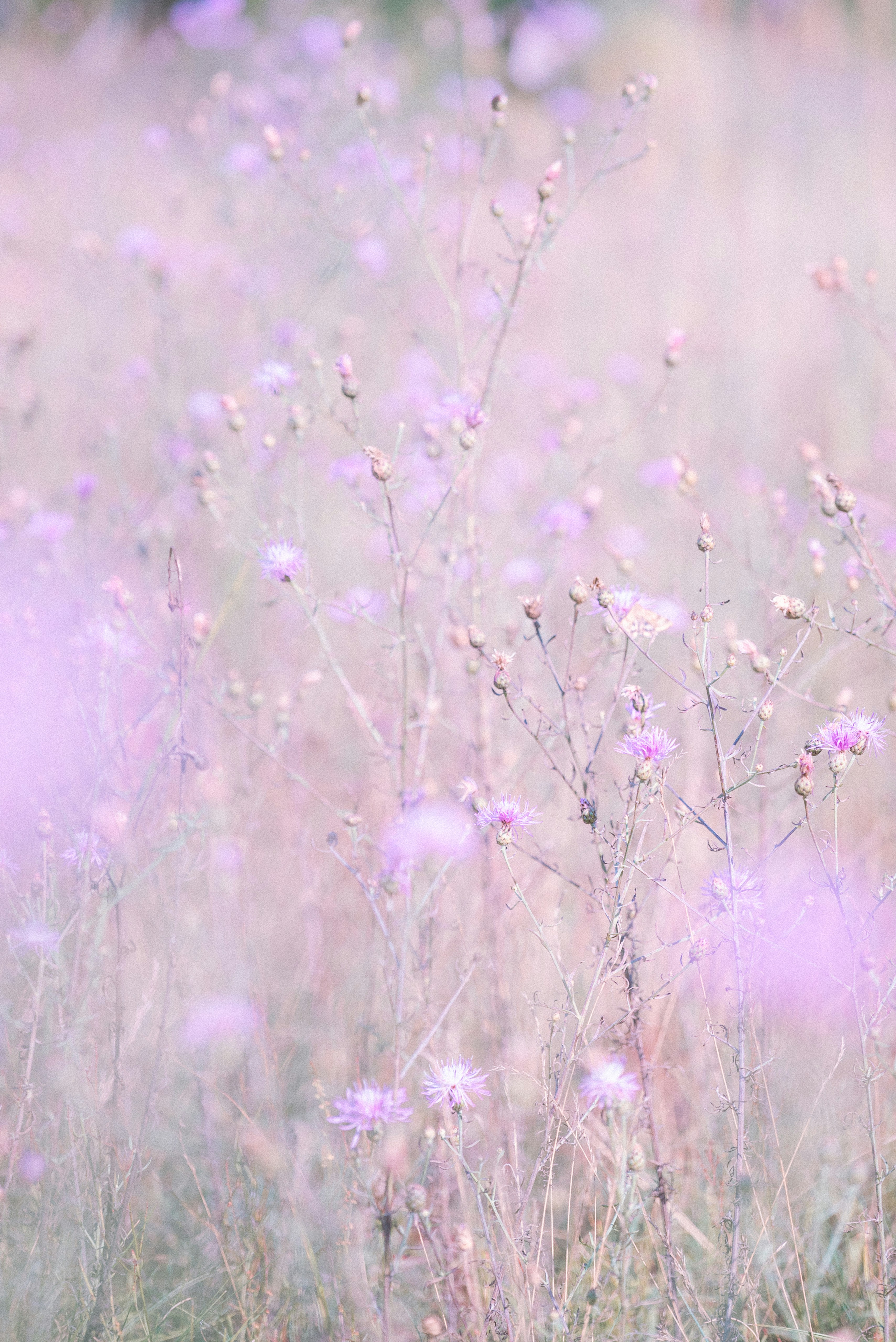 Photo by jetztabertempo