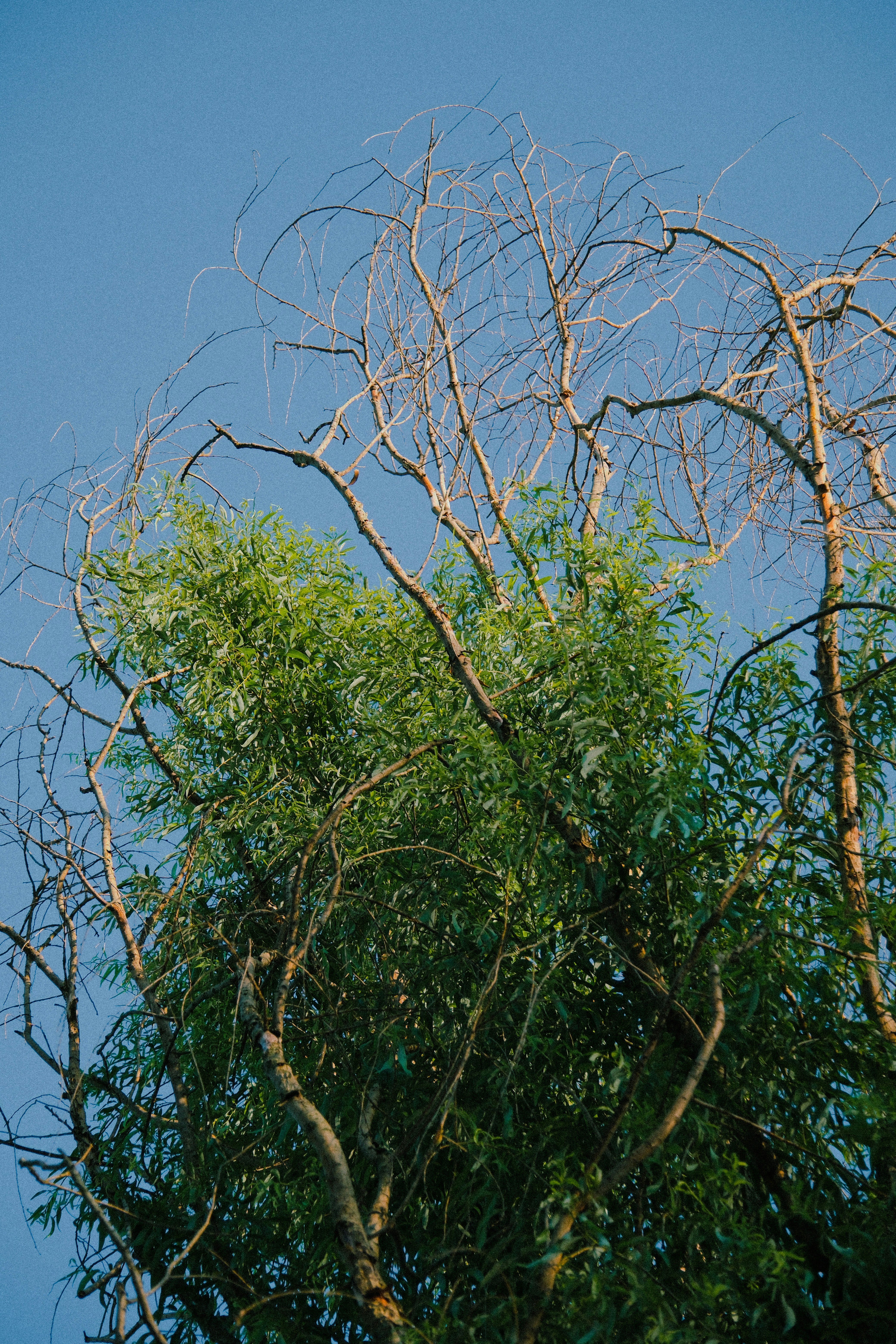 Photo by photohunter