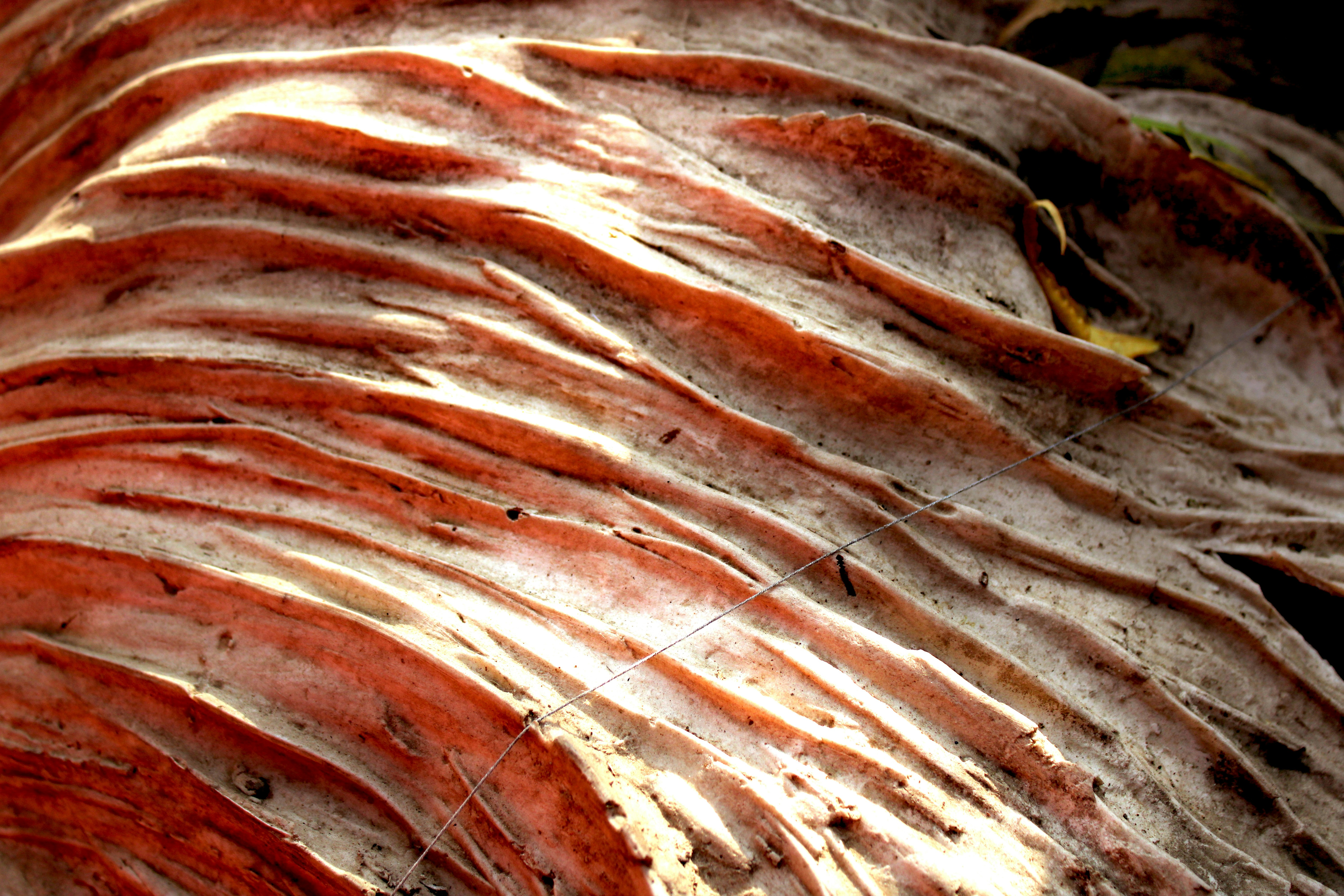 abstract wallpaper natural, wallpaper, Digital Marketing Strategy: A Comprehensive Guide 2