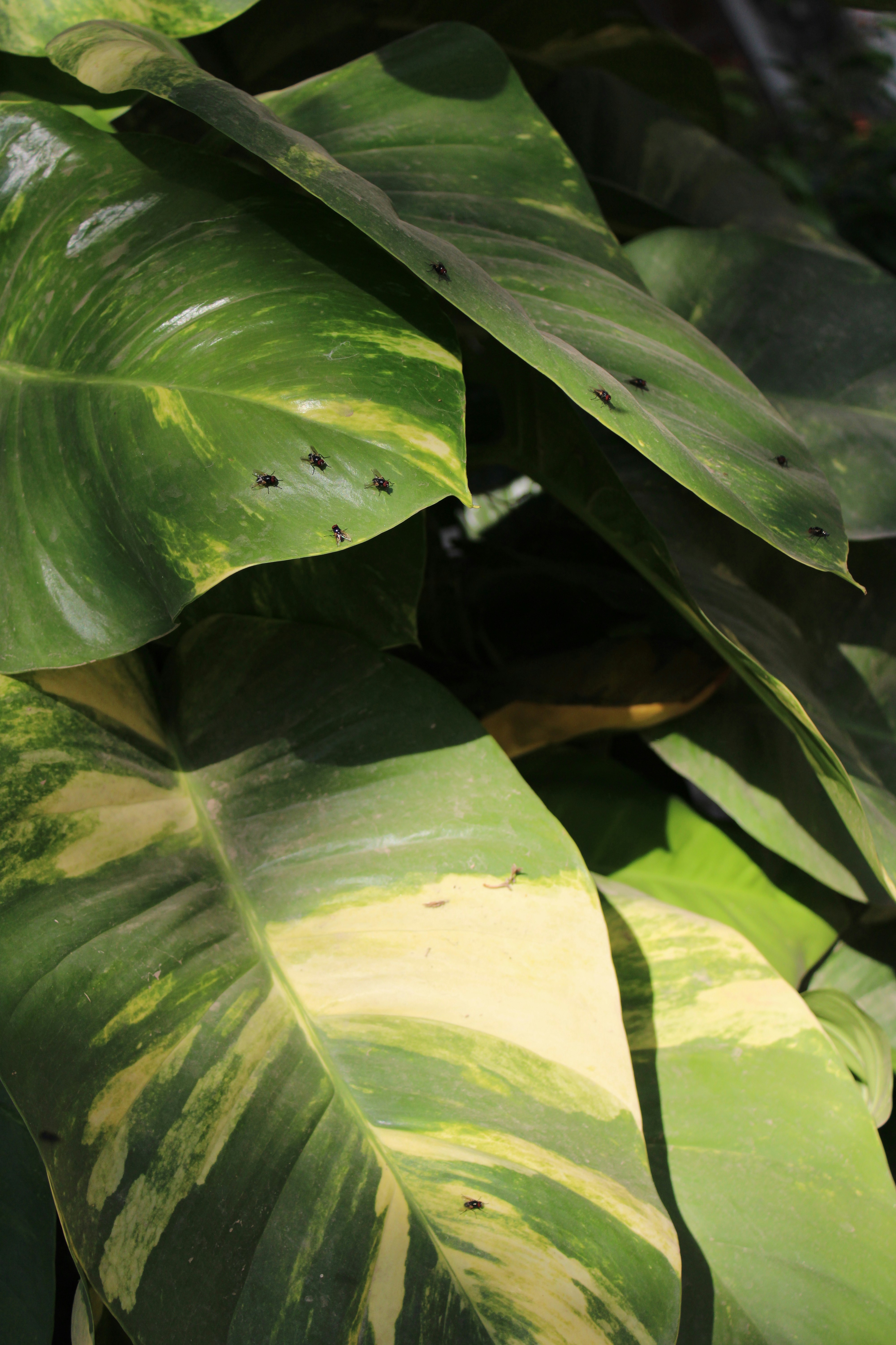 Photo by shabiba_amin