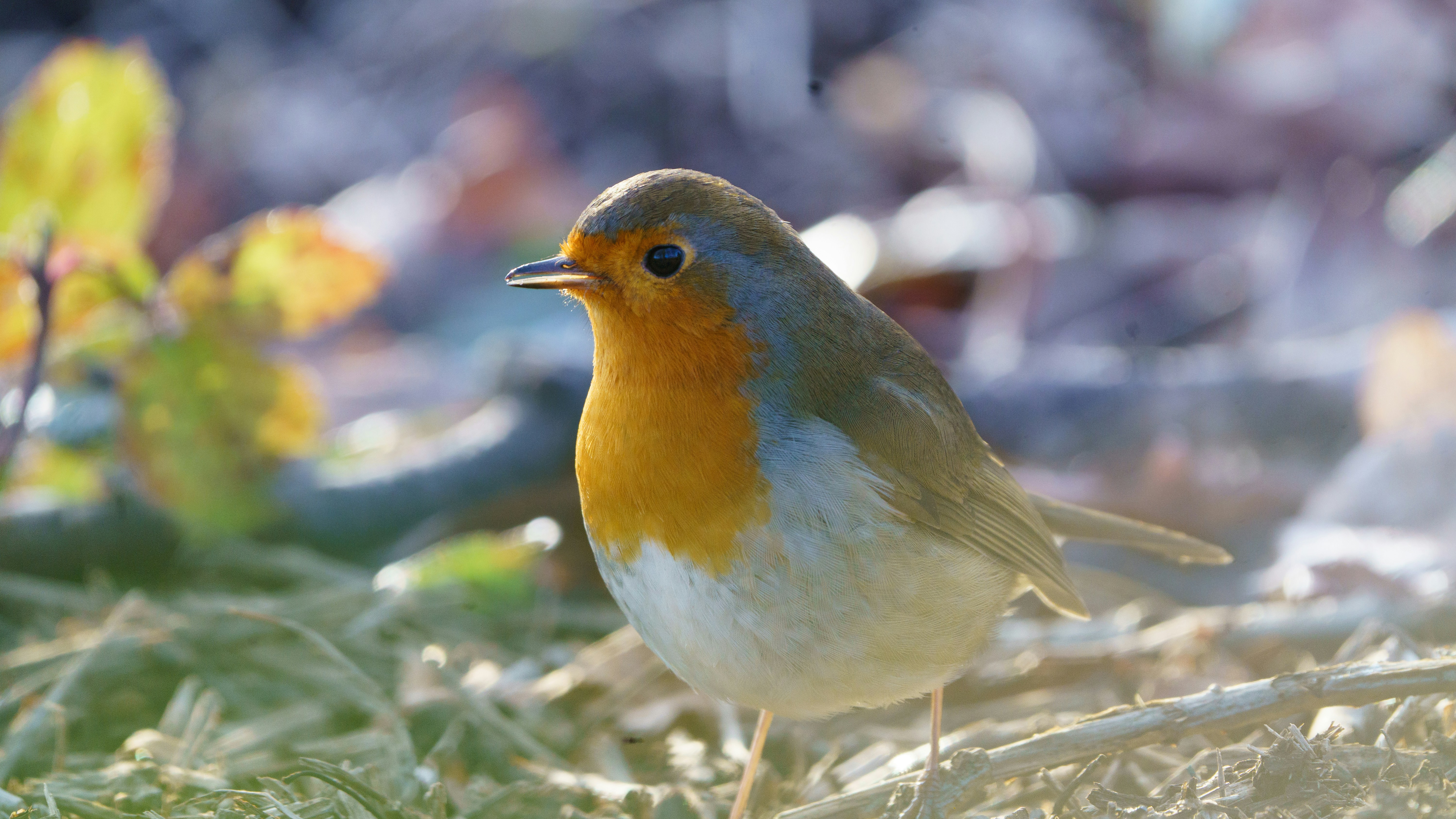 Photo by ameefairbankbrown