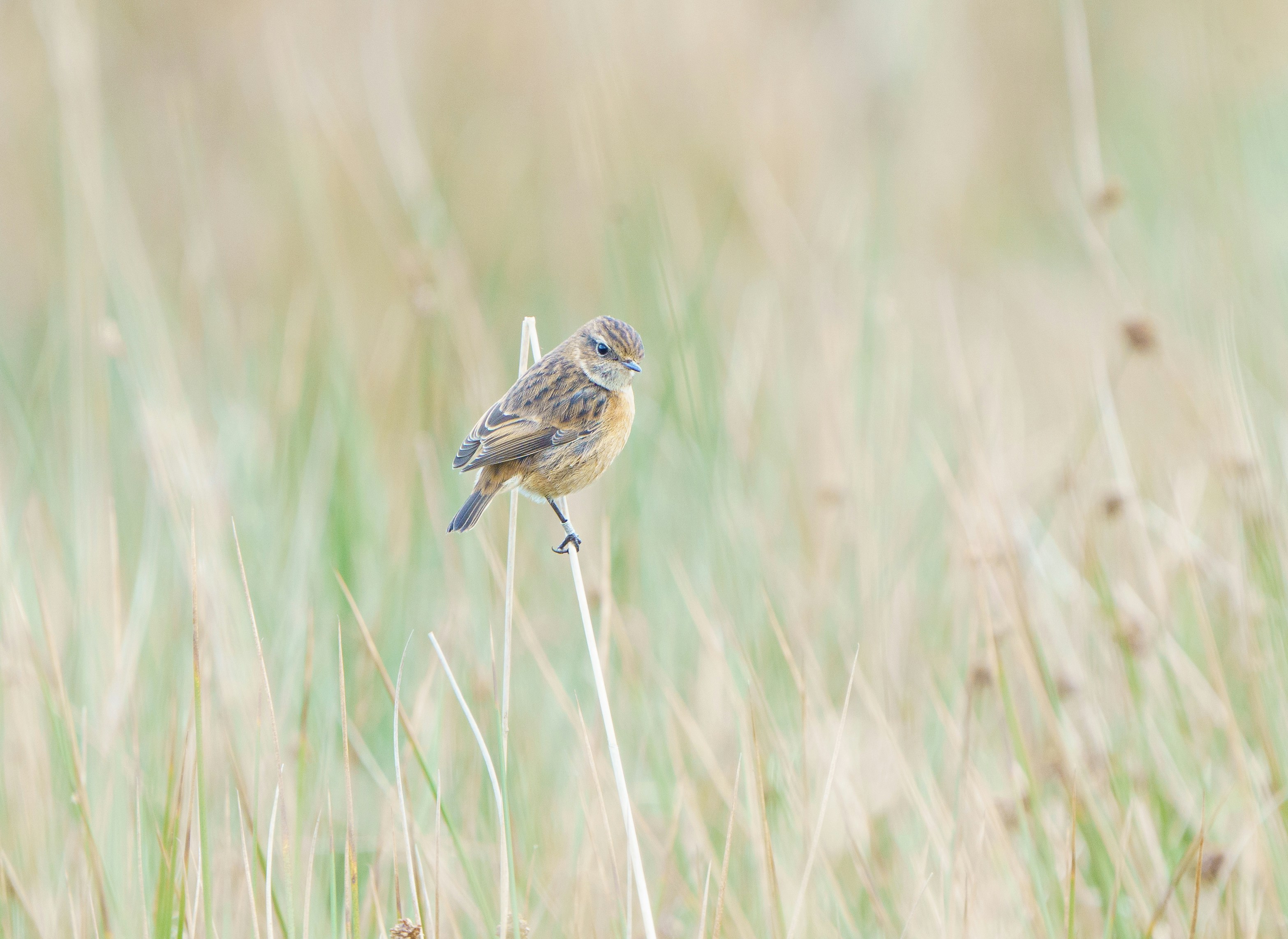 Photo by ameefairbankbrown