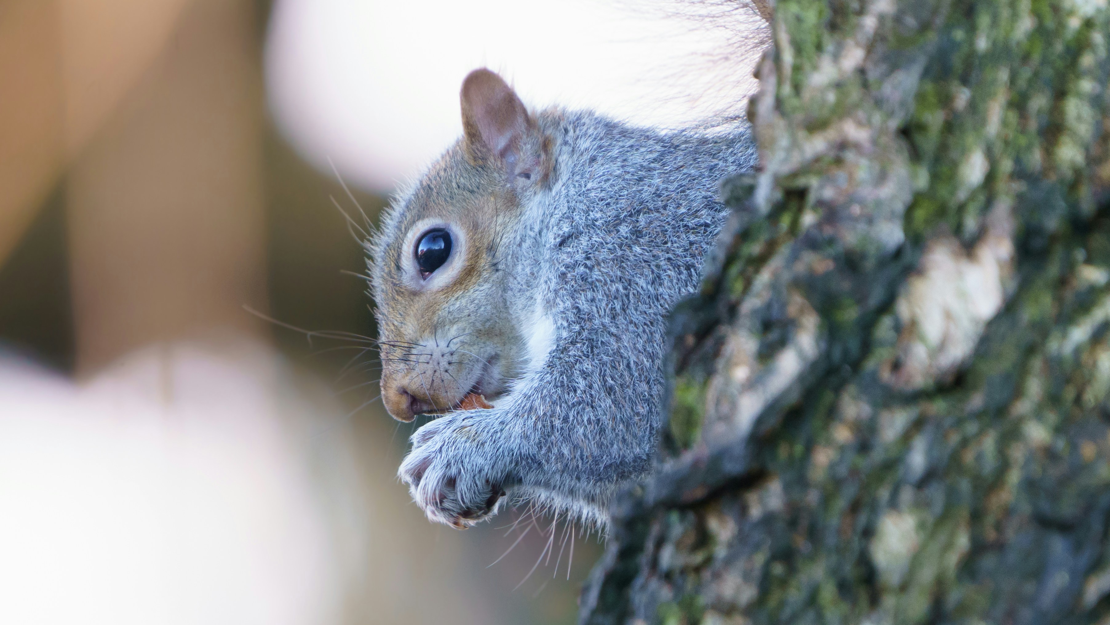 Photo by ameefairbankbrown