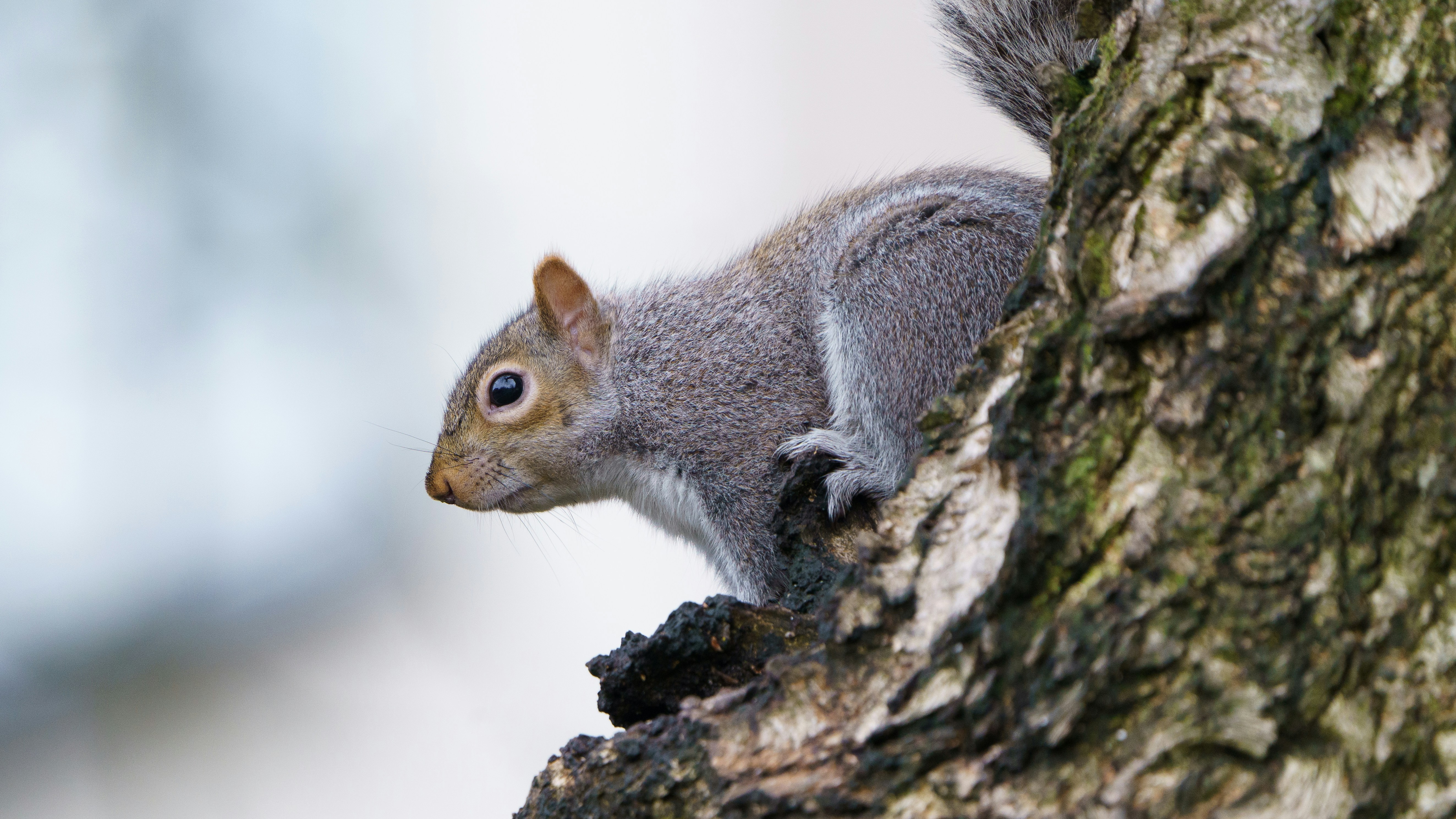 Photo by ameefairbankbrown