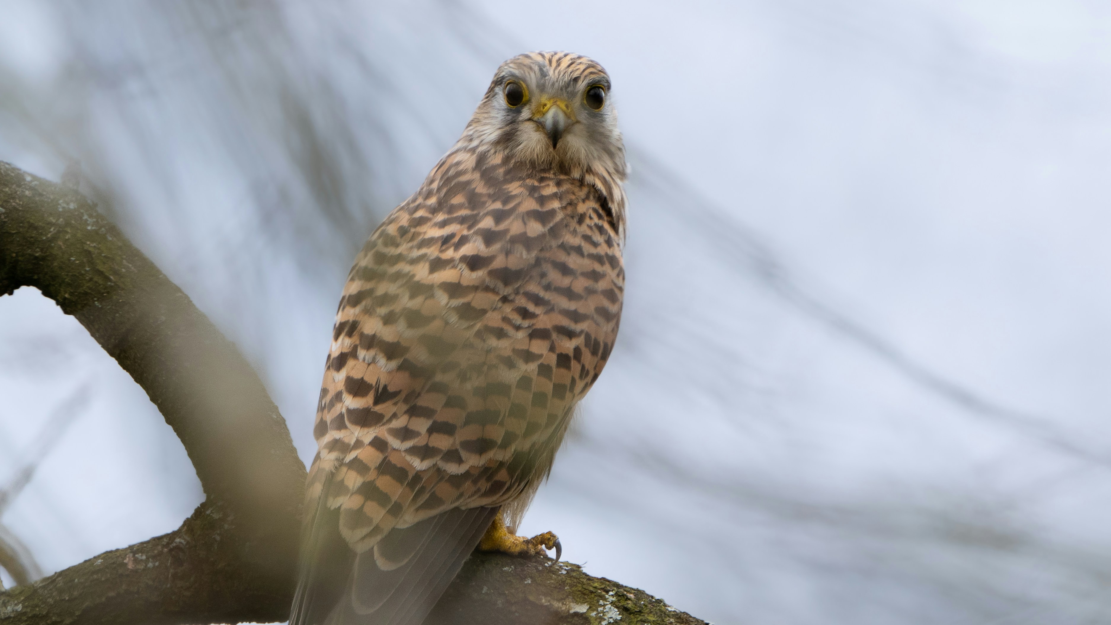 Photo by ameefairbankbrown