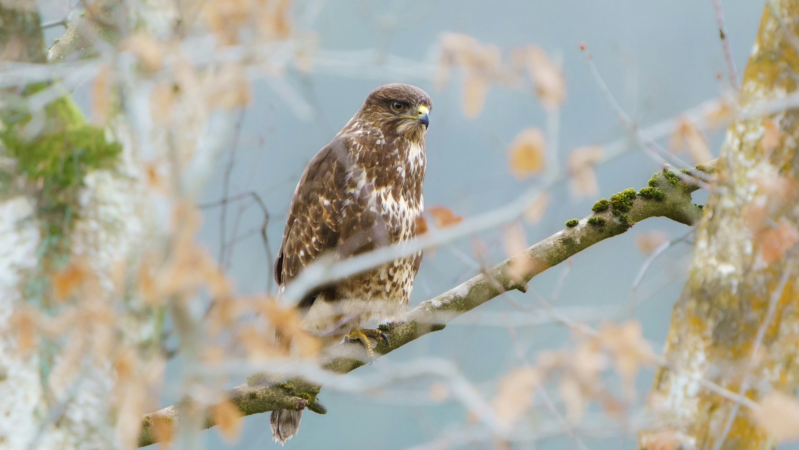 Photo by ameefairbankbrown