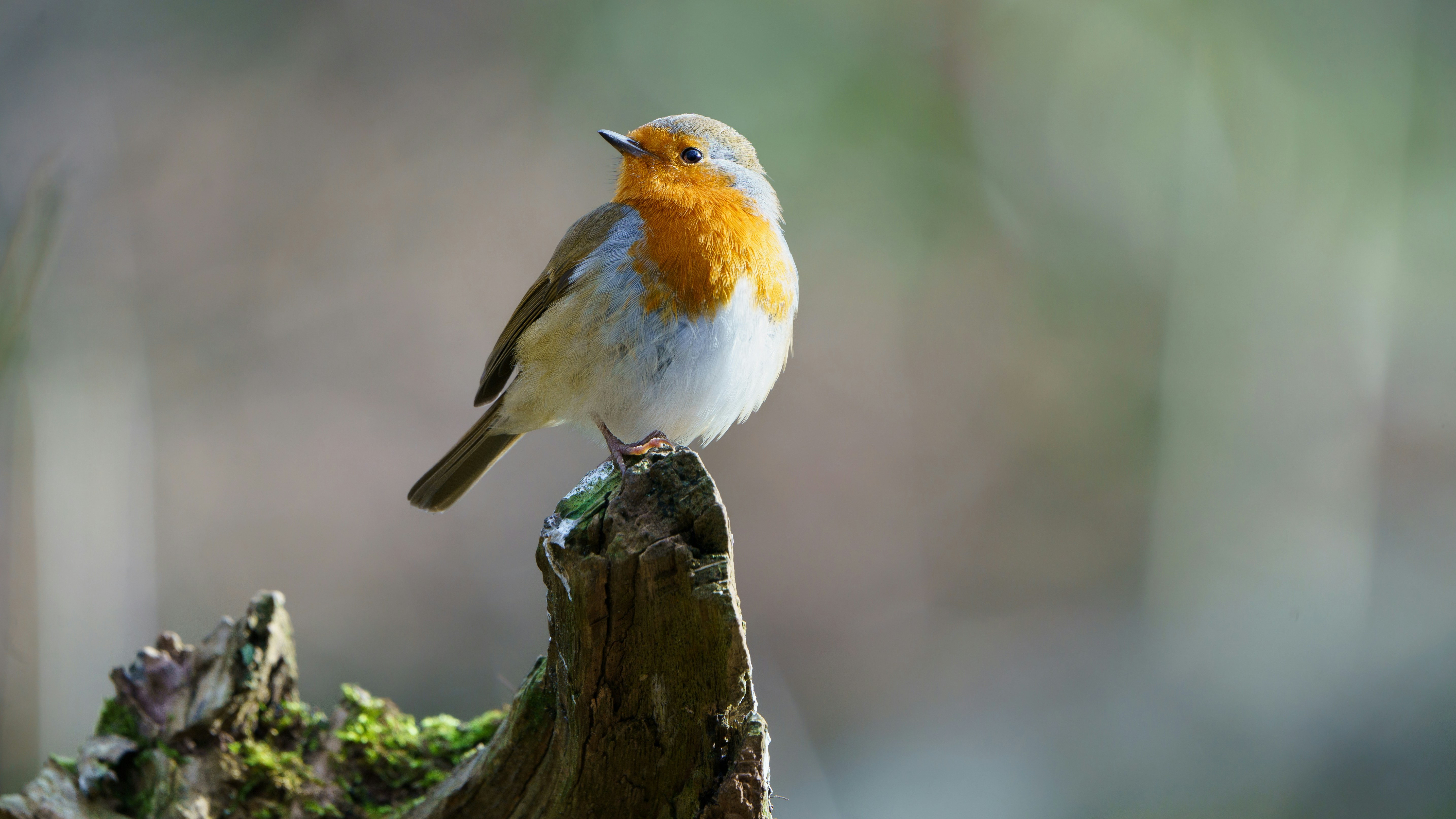 Photo by ameefairbankbrown