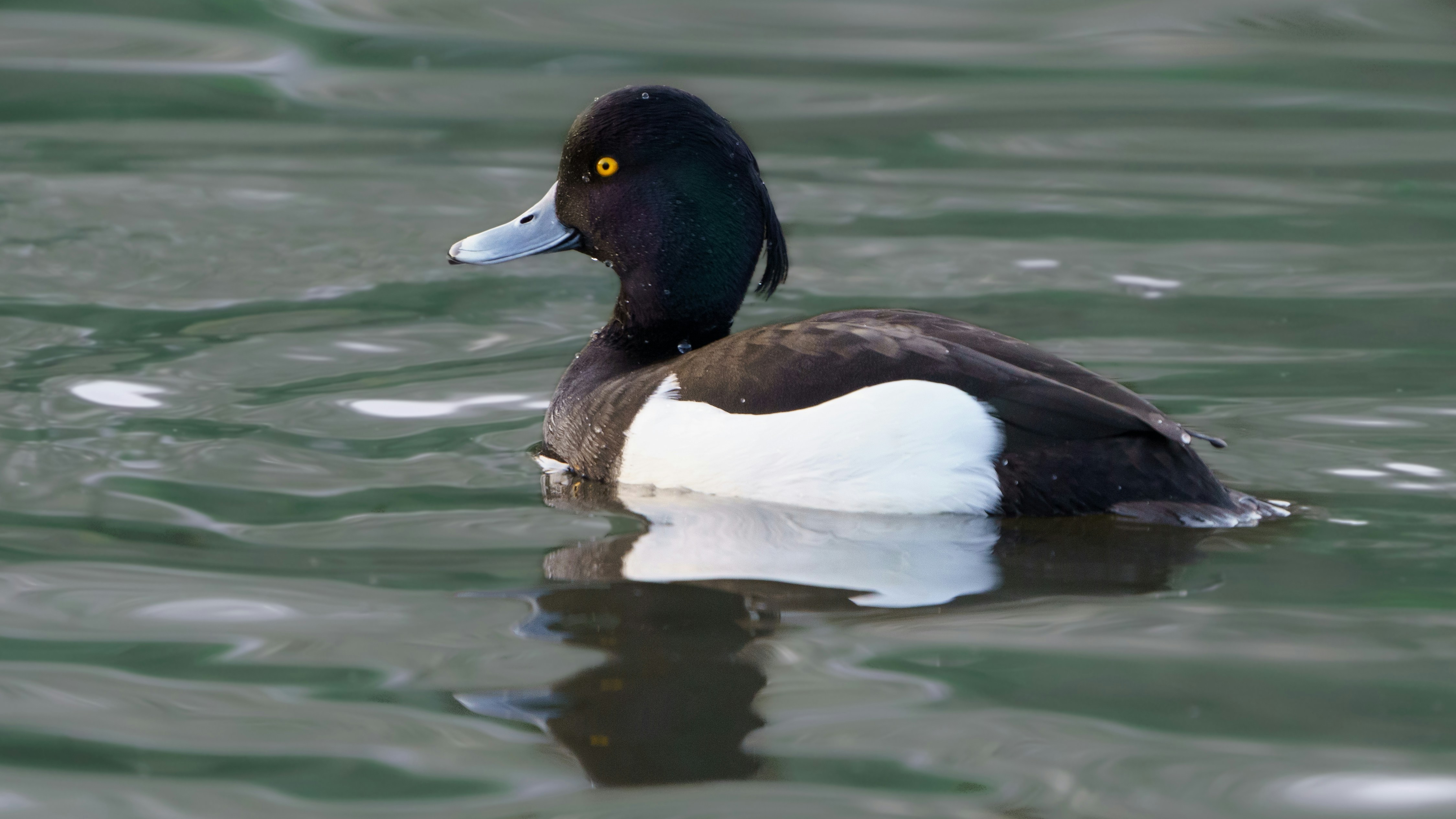 Photo by ameefairbankbrown