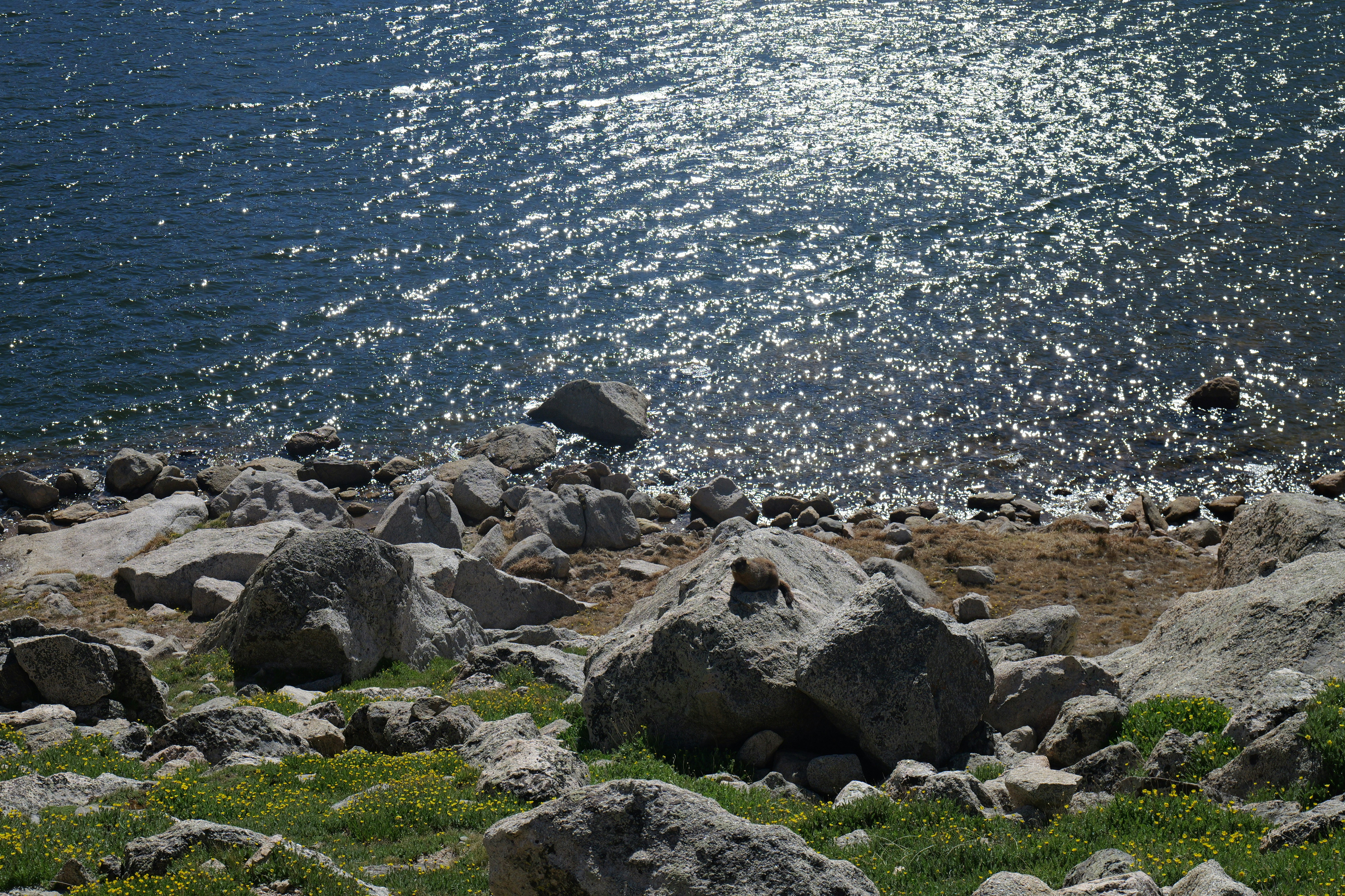 Photo by yejiangyang