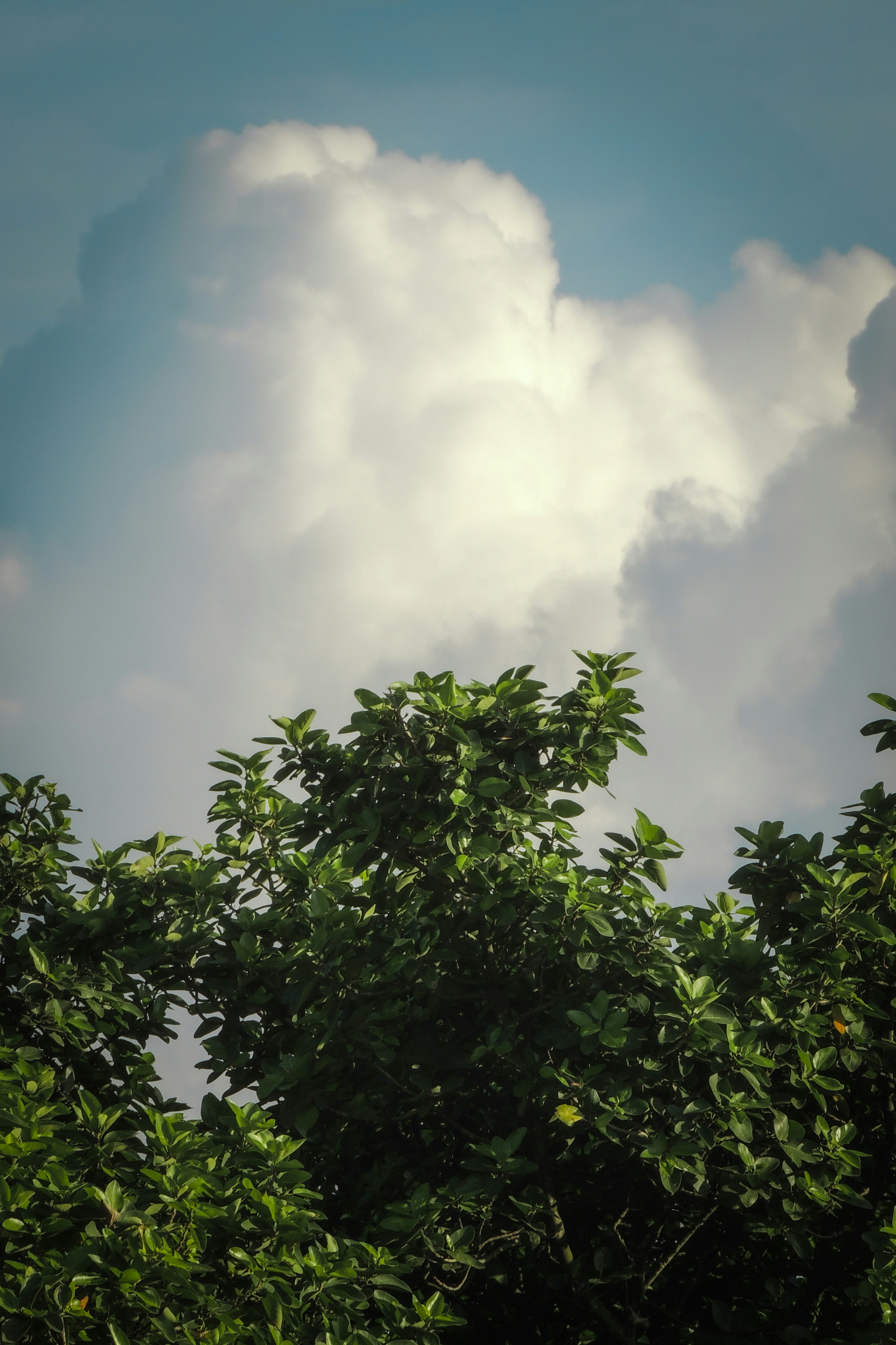 Photo by monoswita29