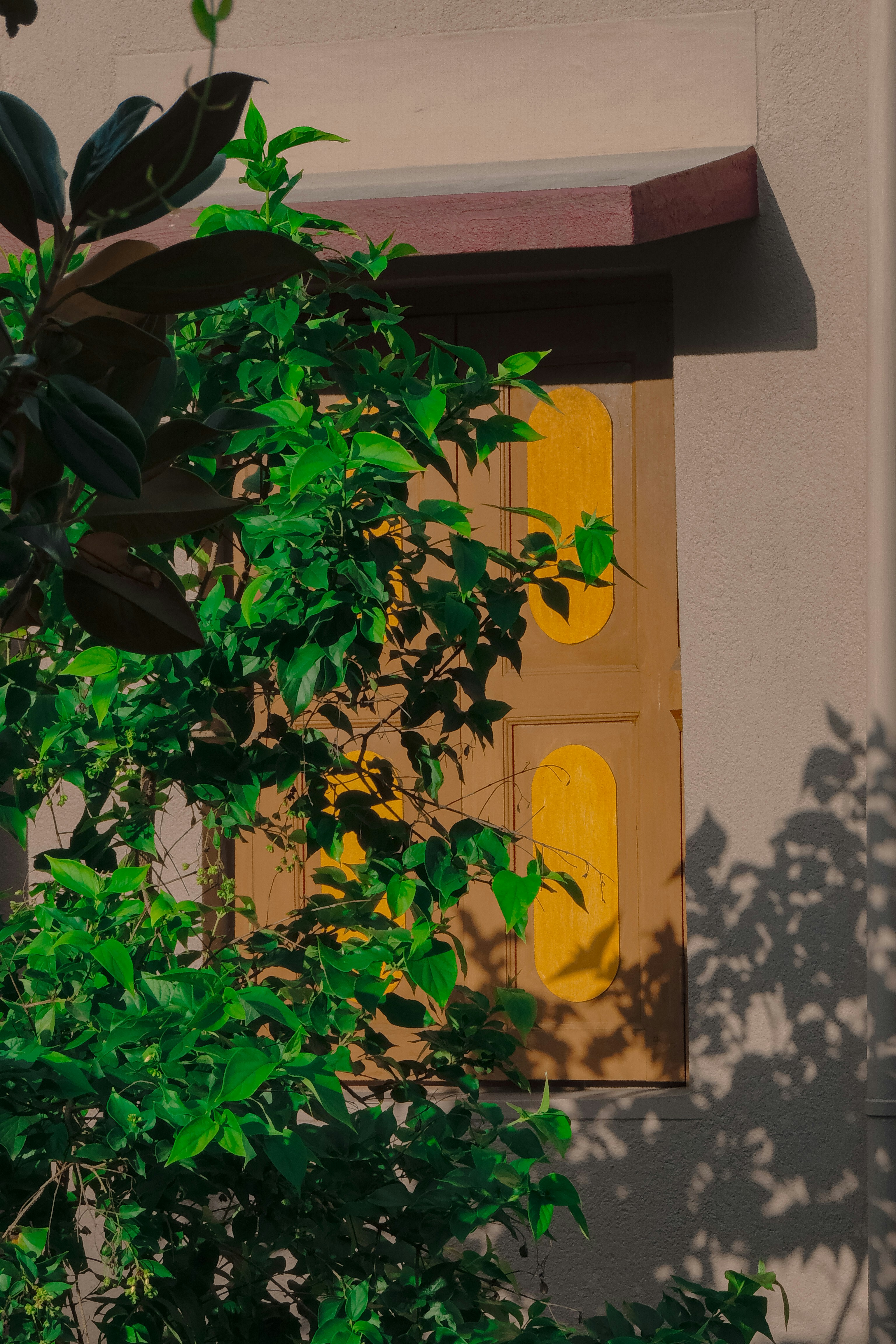 A building with a tree in front of it