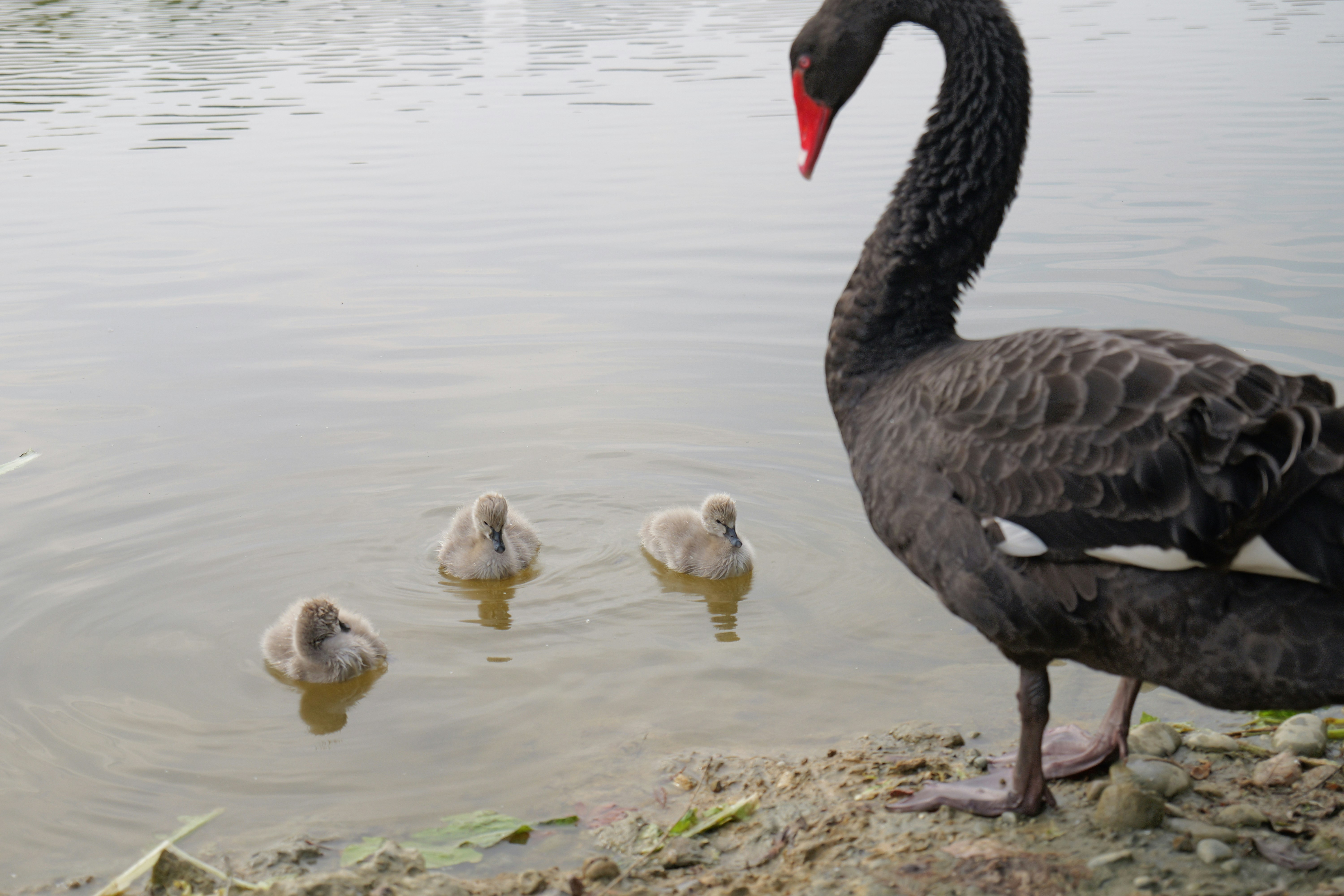 Photo by yejiangyang