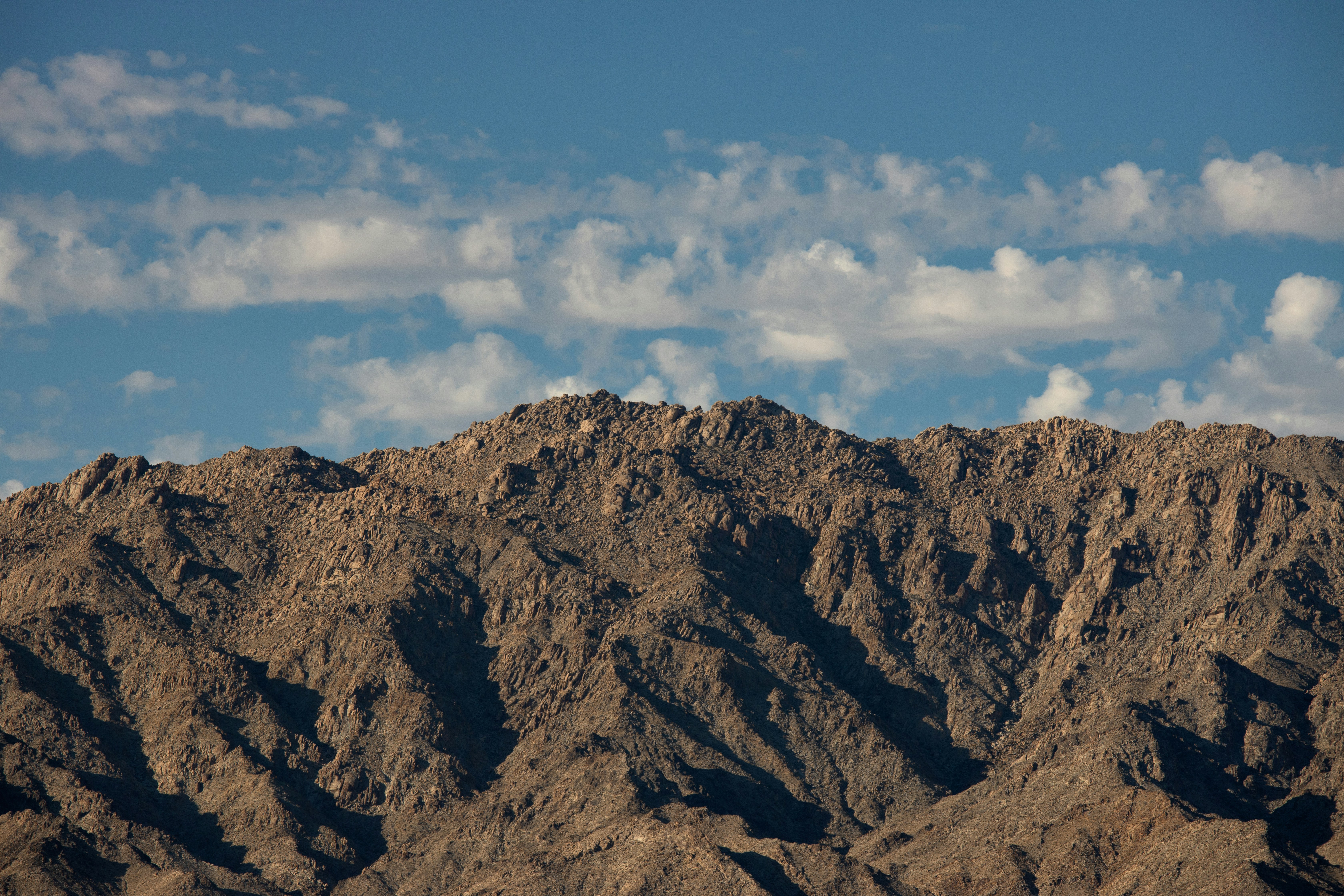 Photo by bicoastal_agency