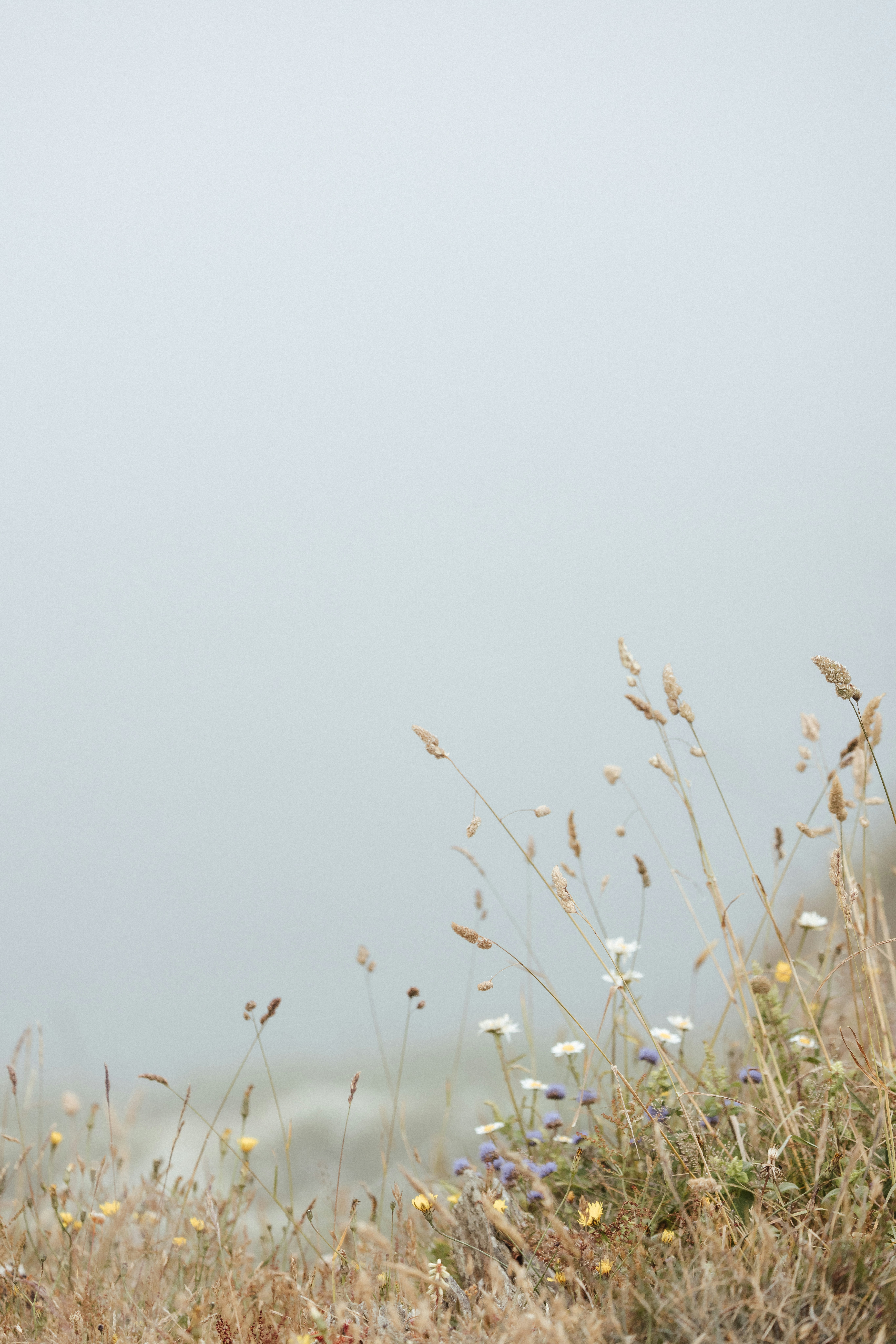 Photo by anniespratt